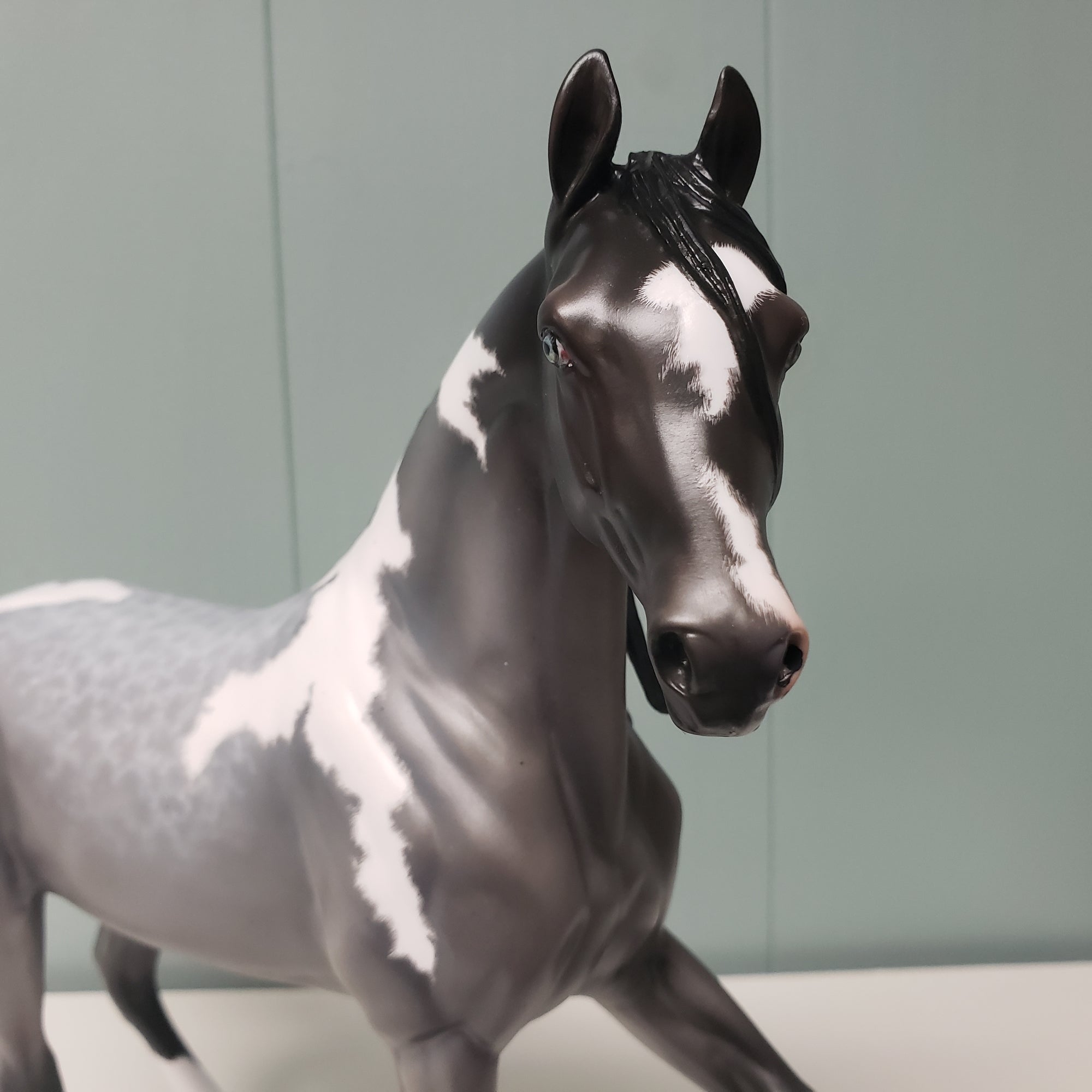 Radar Detected OOAK Loud Blue Roan Tobiano Custom Arab Mare By Ellen Robbins - Best Offers 3/26/24