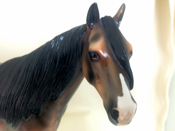 KILKEE - OOAK Star Dapple Sooty Bay Stock Horse 3/15