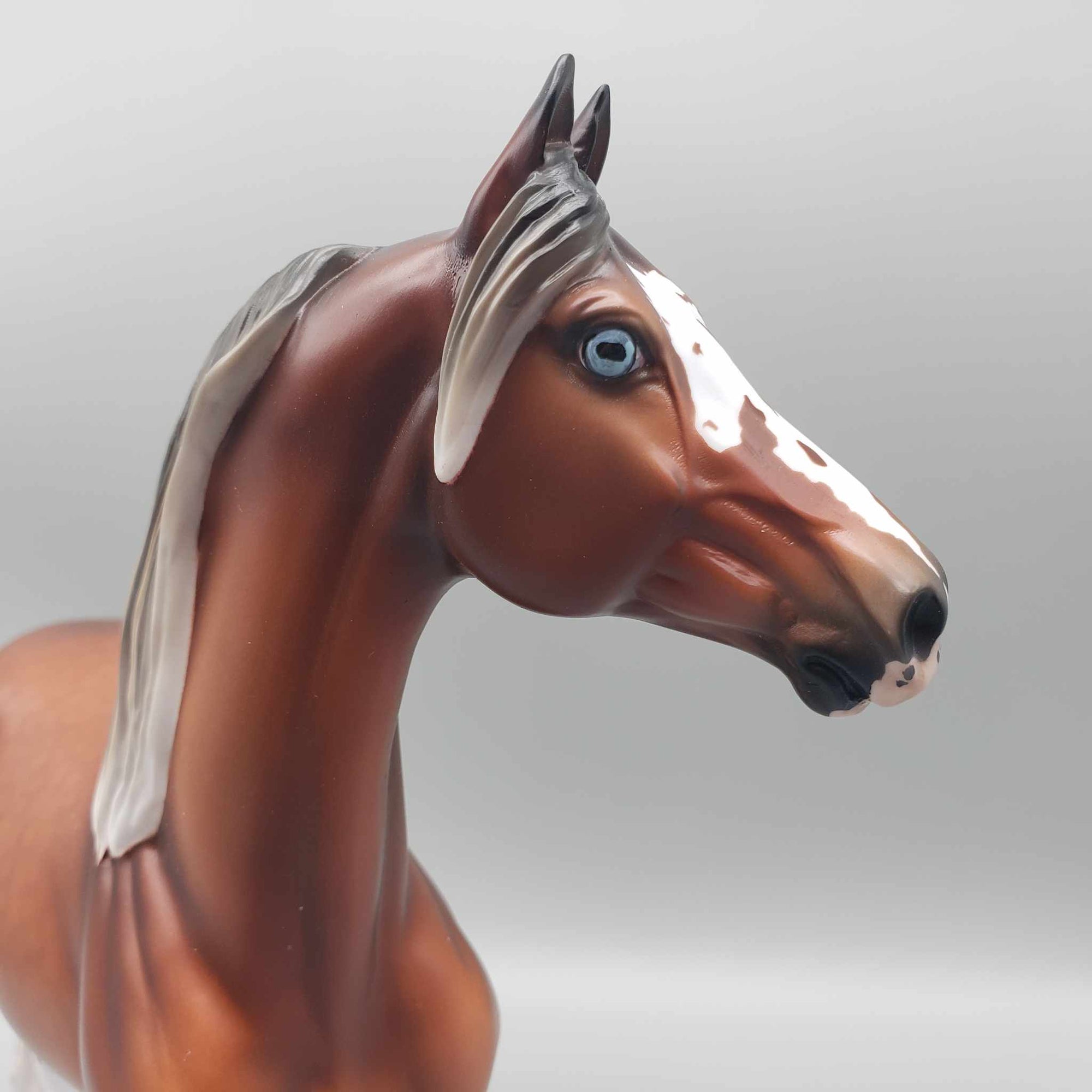 Gulliver - LE 30 Dappled Silver Bay Morgan By Ellen Robbins Classic Literature Series 2024