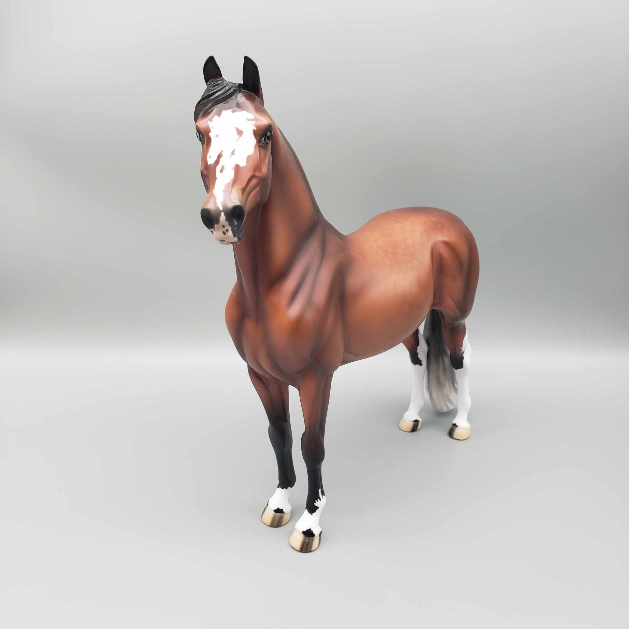 Gulliver - LE 30 Dappled Silver Bay Morgan By Ellen Robbins Classic Literature Series 2024