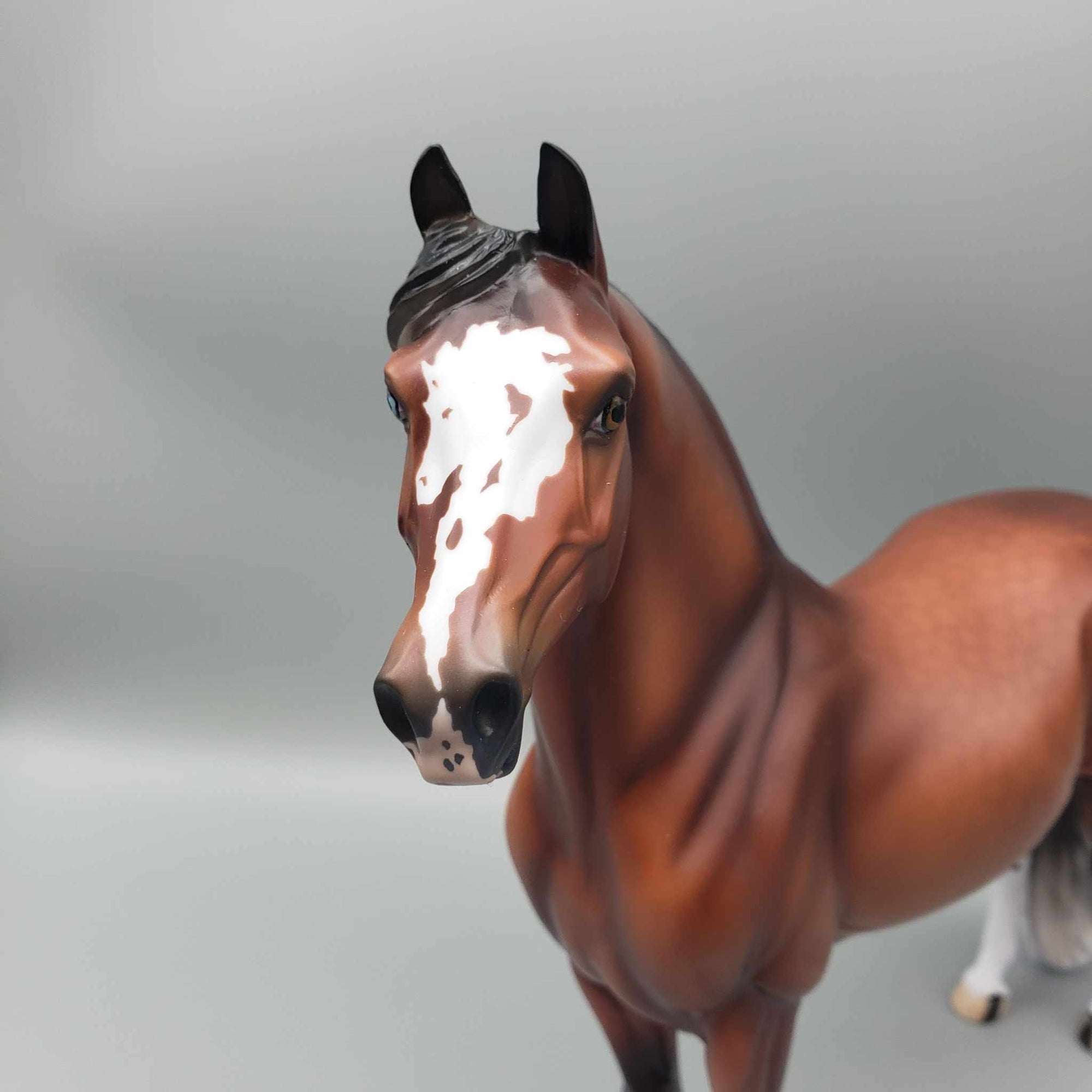 Gulliver - LE 30 Dappled Silver Bay Morgan By Ellen Robbins Classic Literature Series 2024