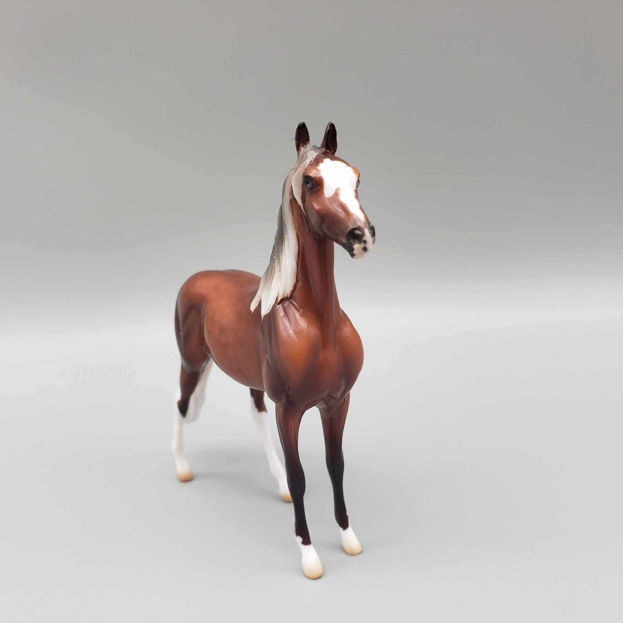 Gulliver's Travels Grab Bag Chip - 30 pcs 10 Assorted Styles of Chips By Ellen Robbins Classic Literature Series 2024 CL24