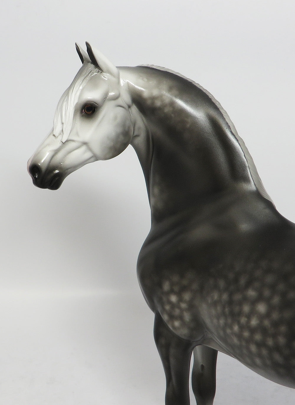 PRESSMAN-OOAK DAPPLE GREY MORGAN MODEL HORSE BY SHERYL LEISURE 12-28-17