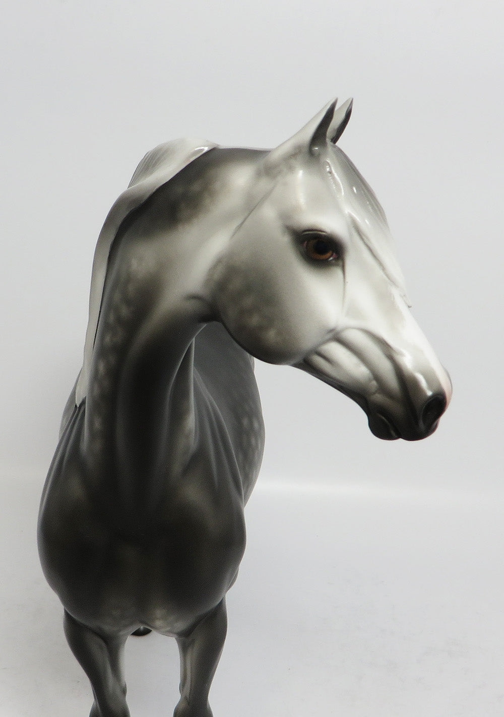 PRESSMAN-OOAK DAPPLE GREY MORGAN MODEL HORSE BY SHERYL LEISURE 12-28-17