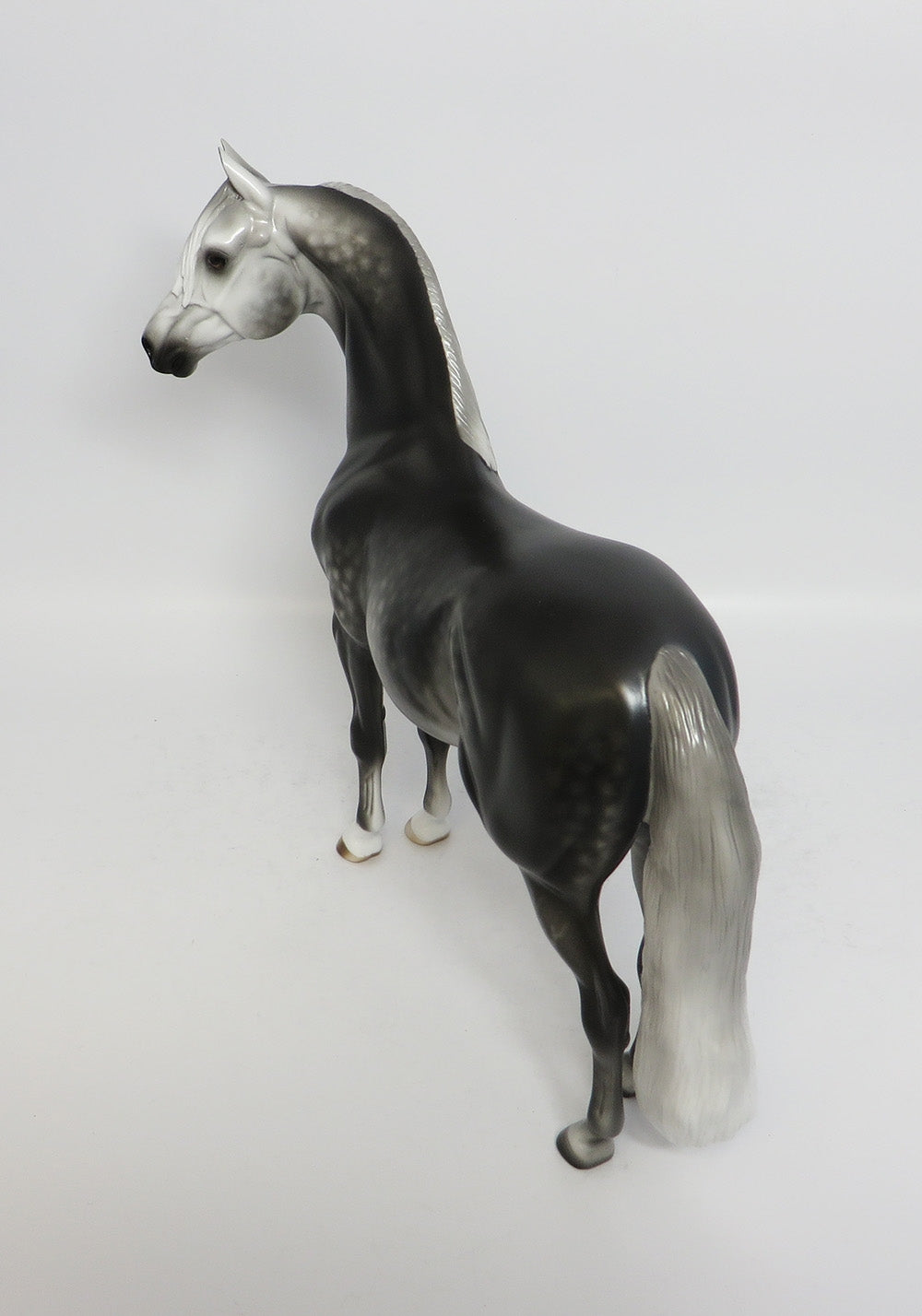 PRESSMAN-OOAK DAPPLE GREY MORGAN MODEL HORSE BY SHERYL LEISURE 12-28-17