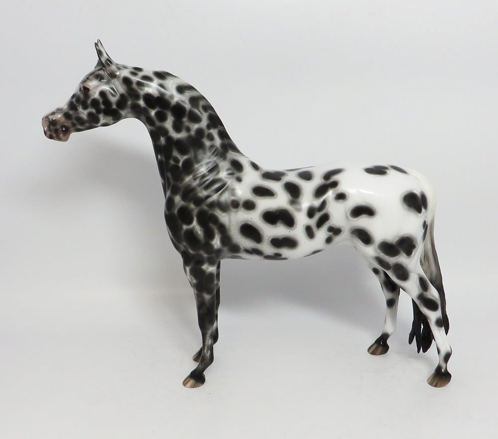 BIF BANG POW-OOAK BLACK LEOPARD APPALOOSA ARABIAN BY SHERYL LEISURE 12-19-17