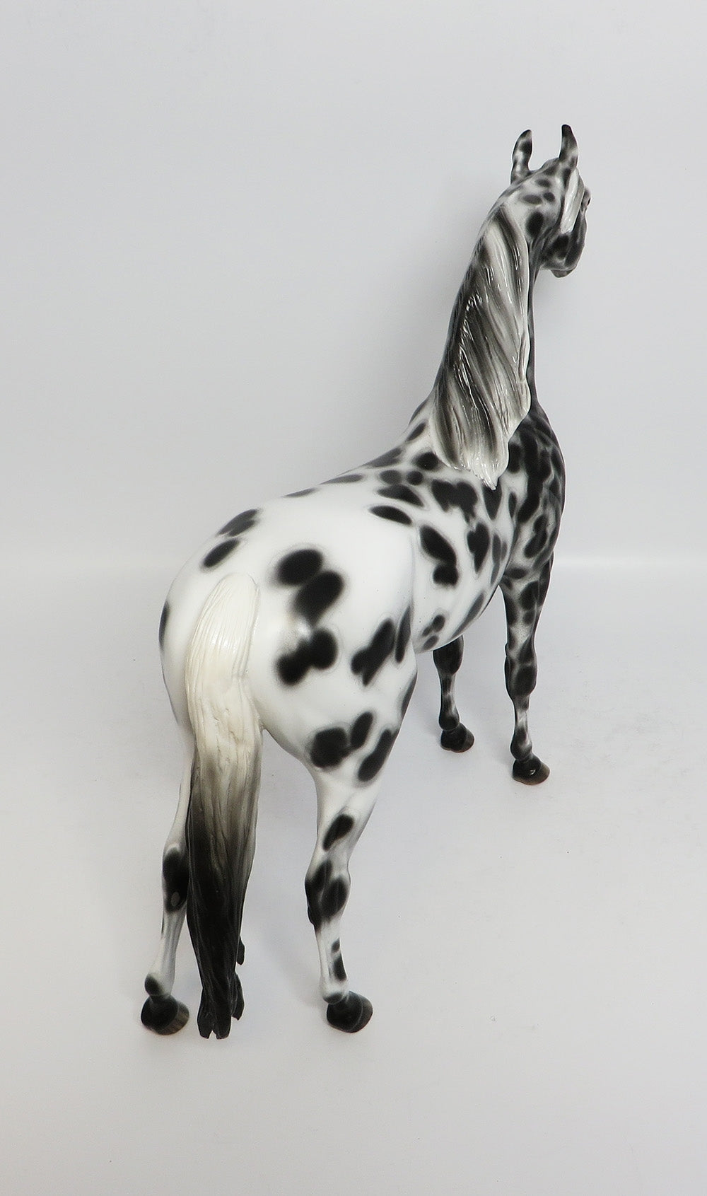 BIF BANG POW-OOAK BLACK LEOPARD APPALOOSA ARABIAN BY SHERYL LEISURE 12-19-17