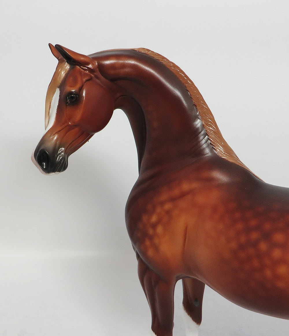 AURORA-OOAK DAPPLE DEEP CHESTNUT ARABIAN MODEL HORSE BY SHERYL LEISURE 12-19-17