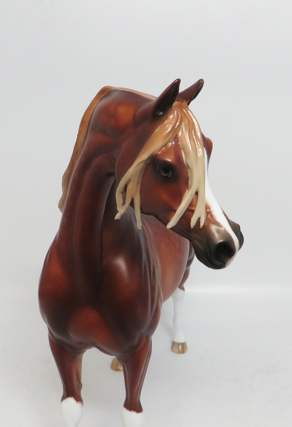 AURORA-OOAK DAPPLE DEEP CHESTNUT ARABIAN MODEL HORSE BY SHERYL LEISURE 12-19-17