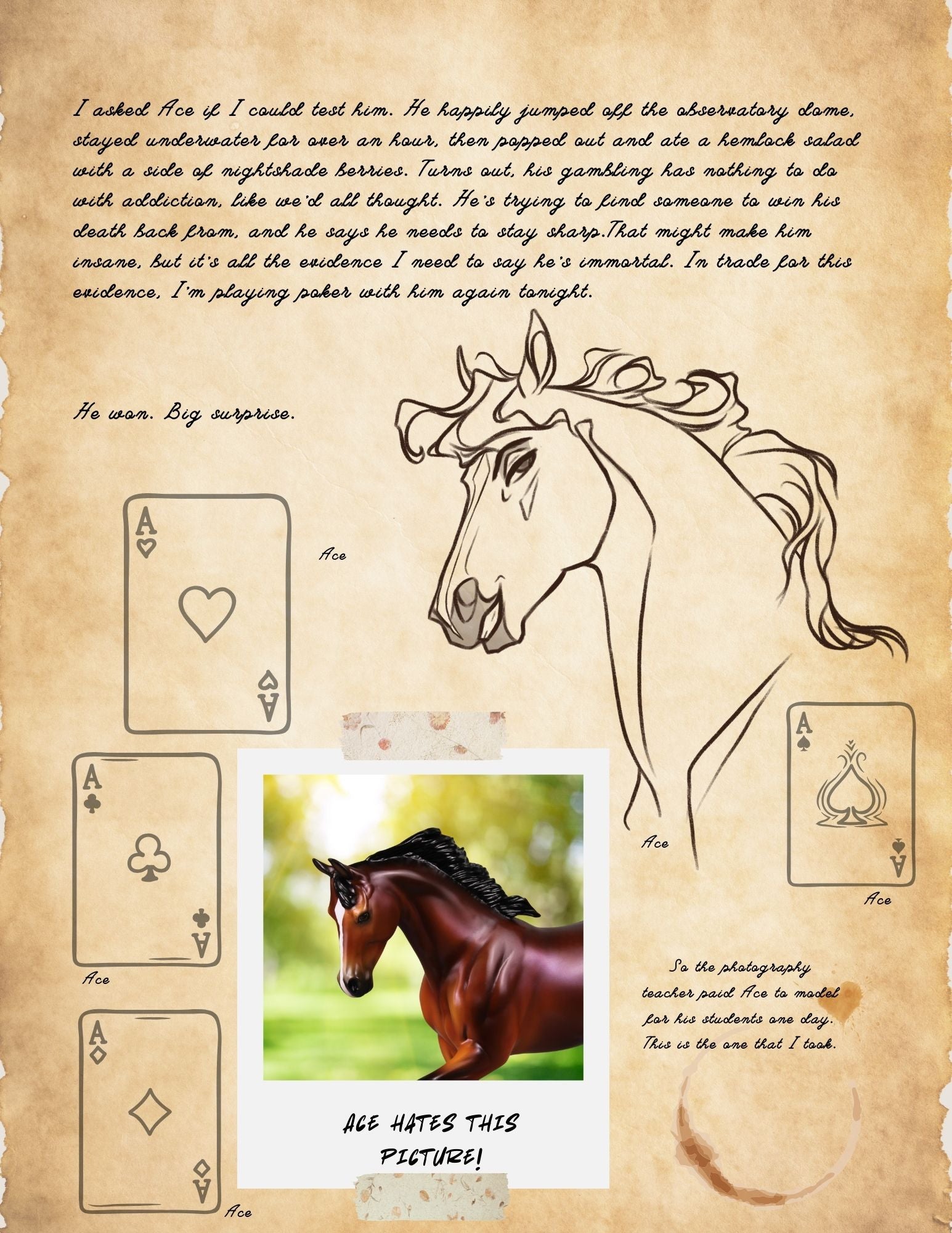 Moonlight Madness 2024 Field Guide Hardcover Book MM24