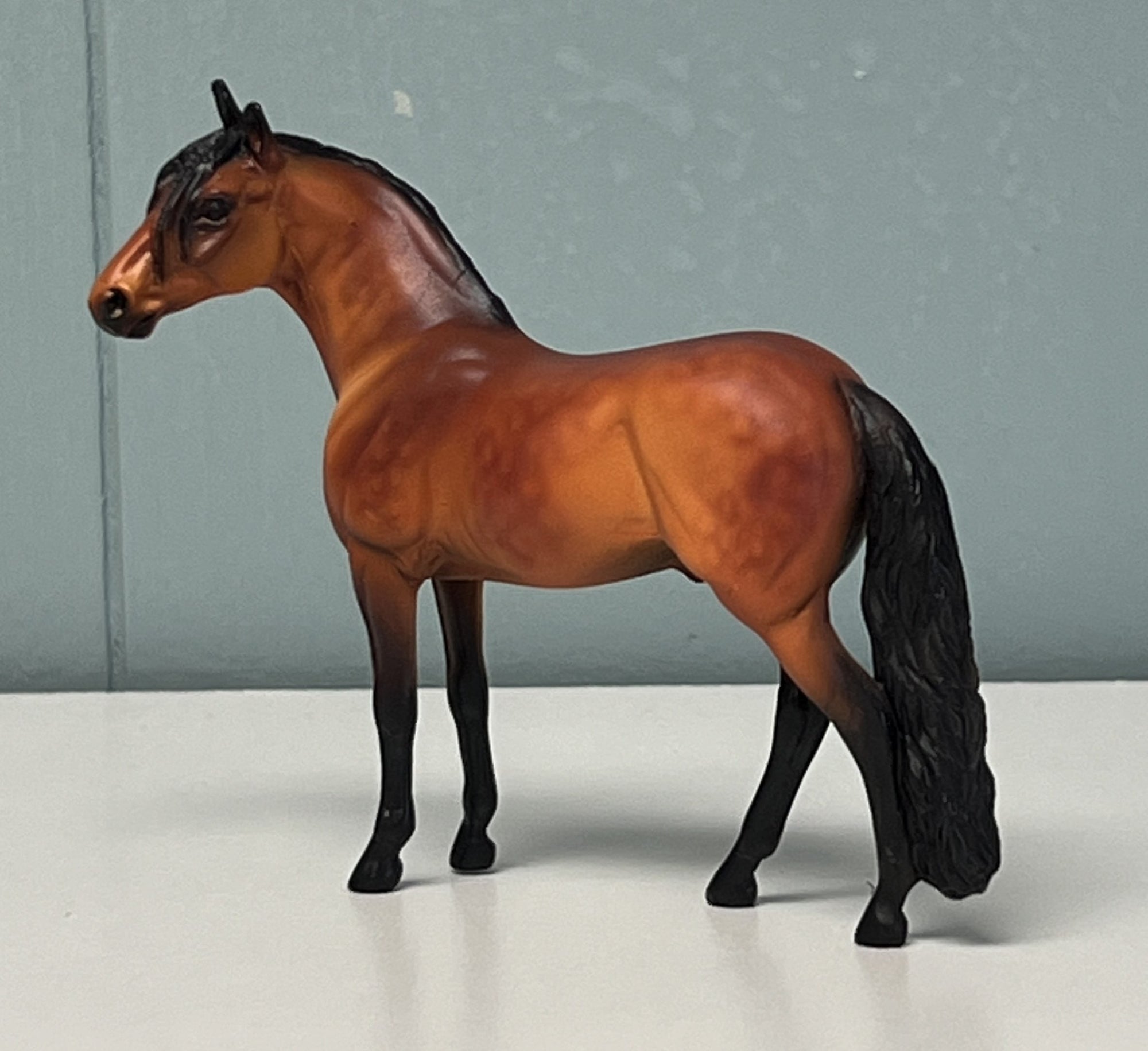 Alejandro Andalusian Red Bay Chip SAMPLE & OOAK SALE APRIL 2024 SS424