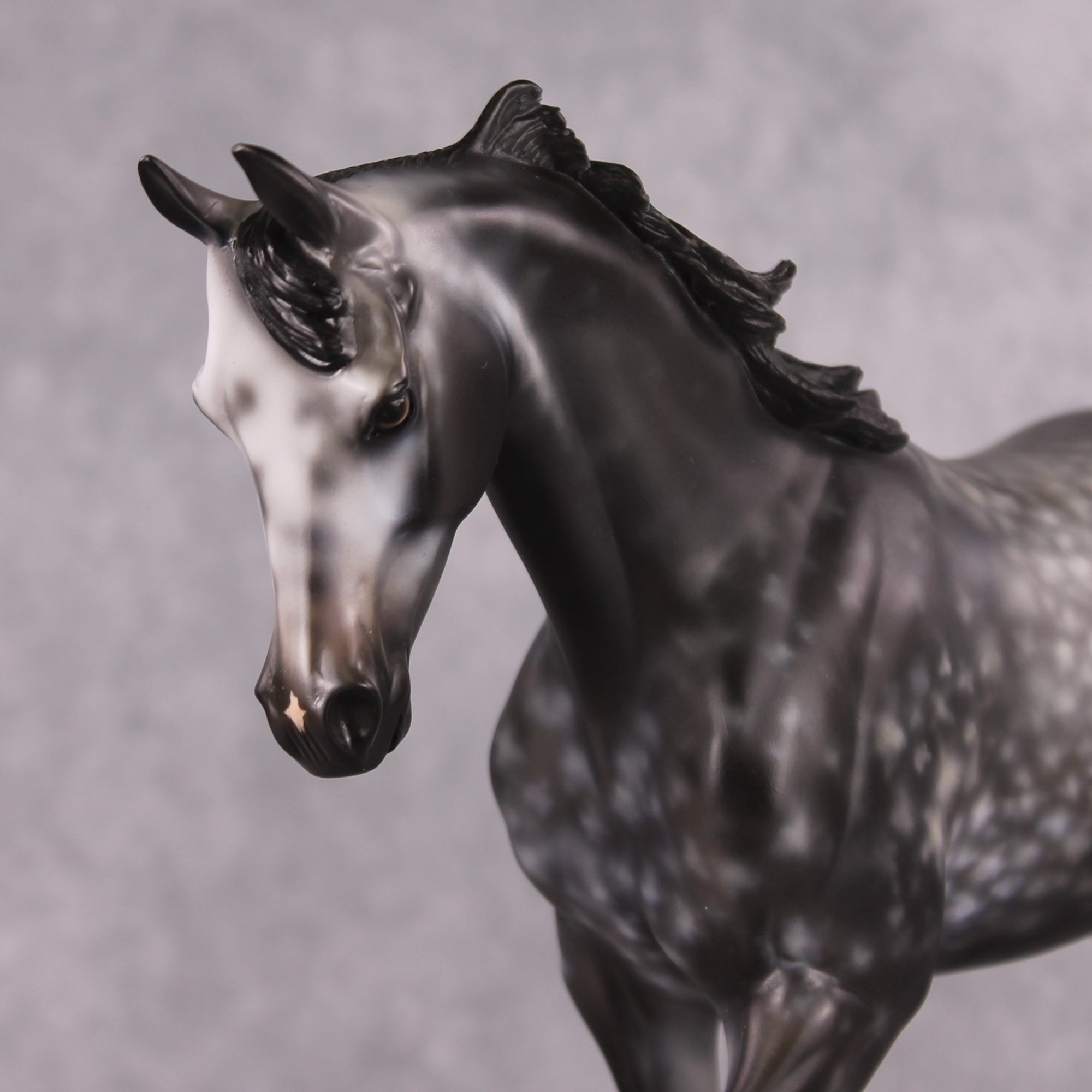 Blanton OOAK Dapple Grey Custom Thoroughbred By Heather Bullach Best Offers 12/24/24