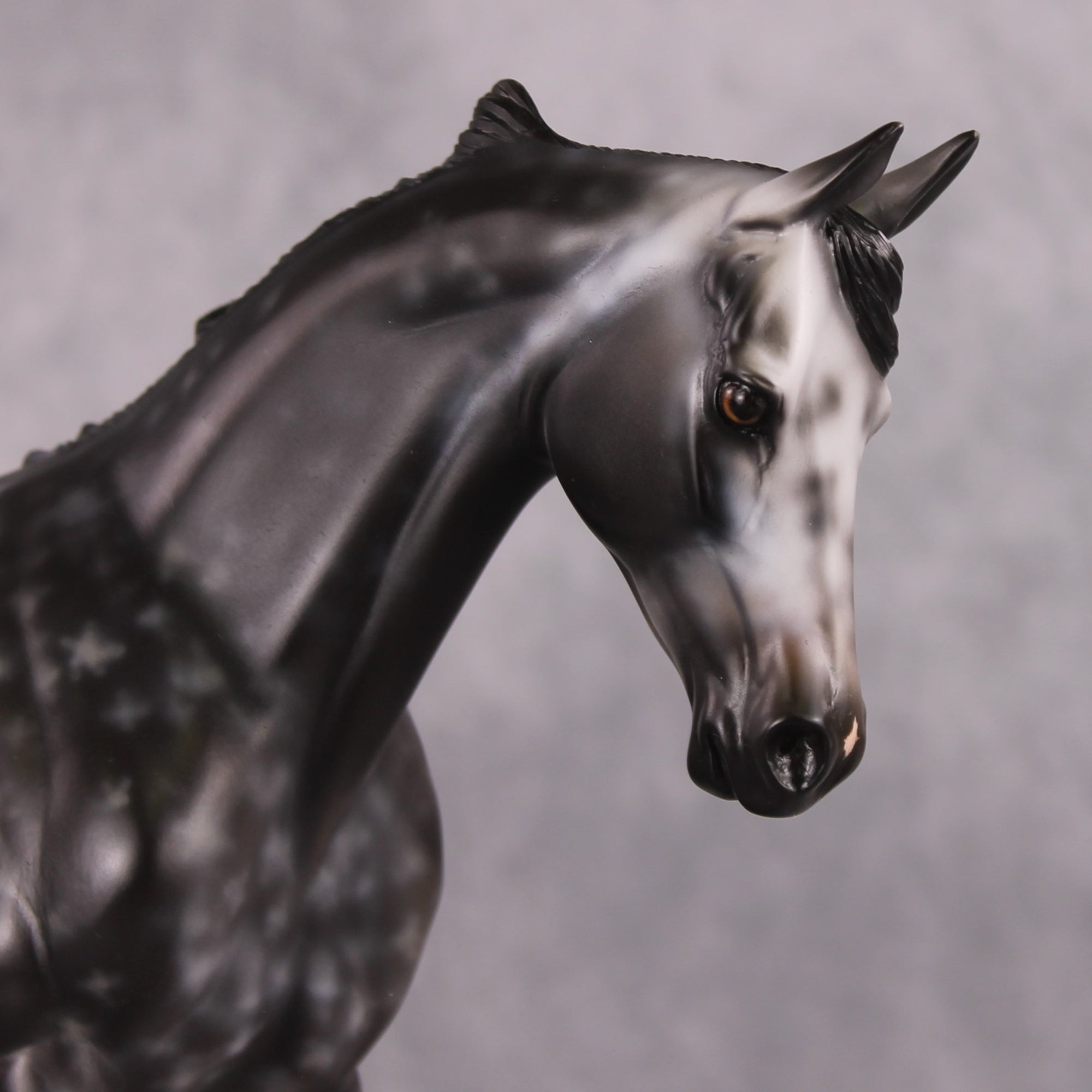 Blanton OOAK Dapple Grey Custom Thoroughbred By Heather Bullach Best Offers 12/24/24