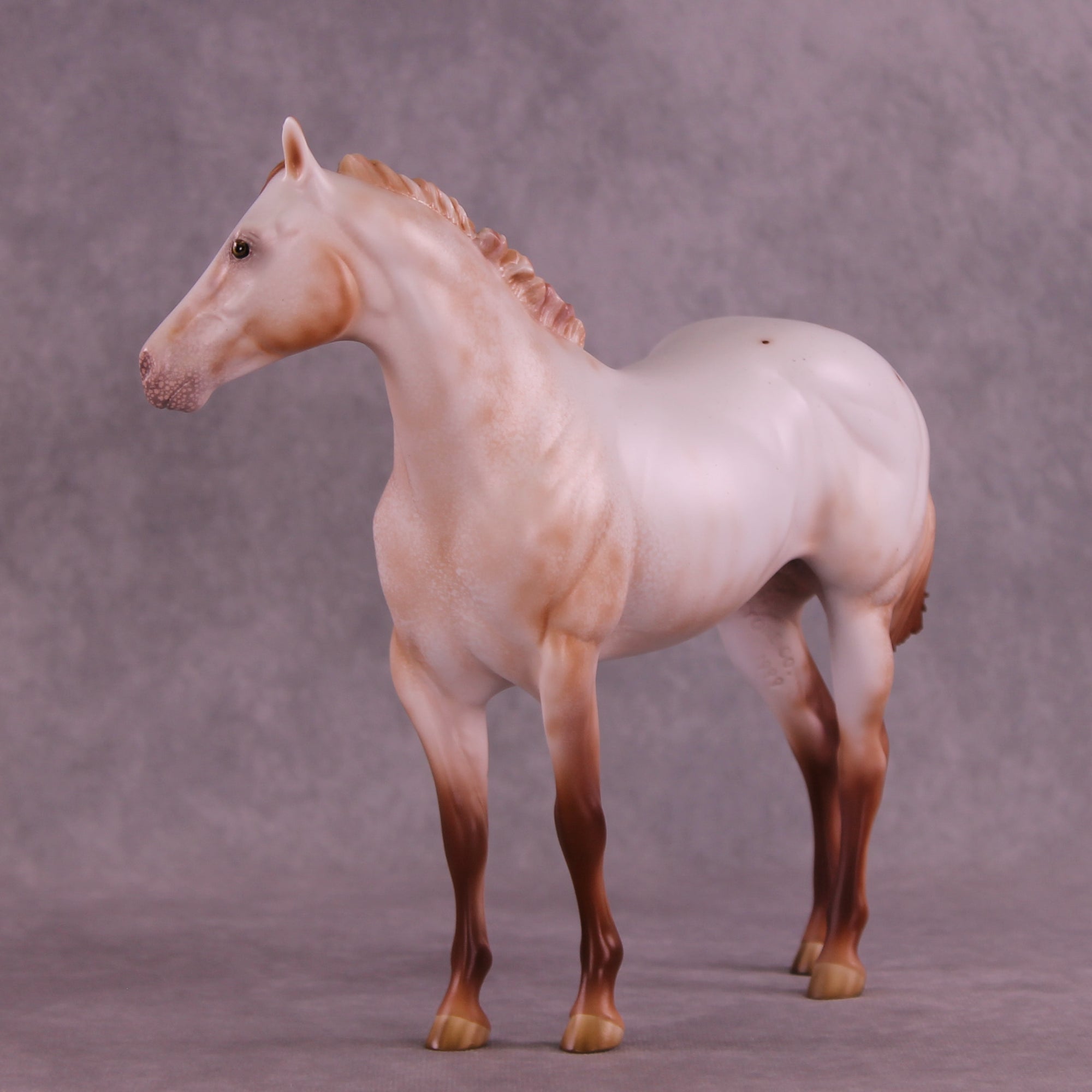 Polixenes LE-15 FCM Ideal Stock Horse by Ellen Robbins CL25