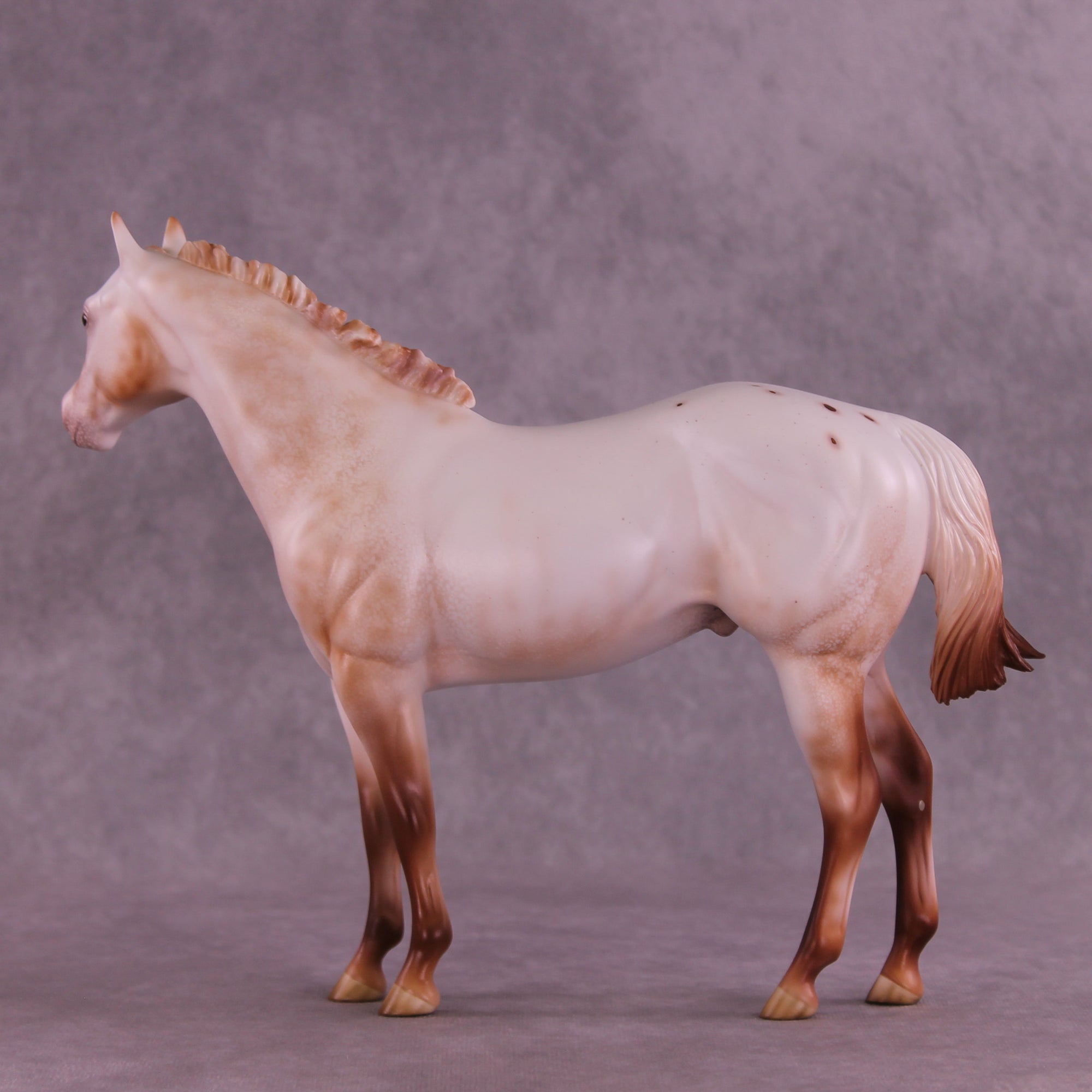 Polixenes LE-15 FCM Ideal Stock Horse by Ellen Robbins CL25