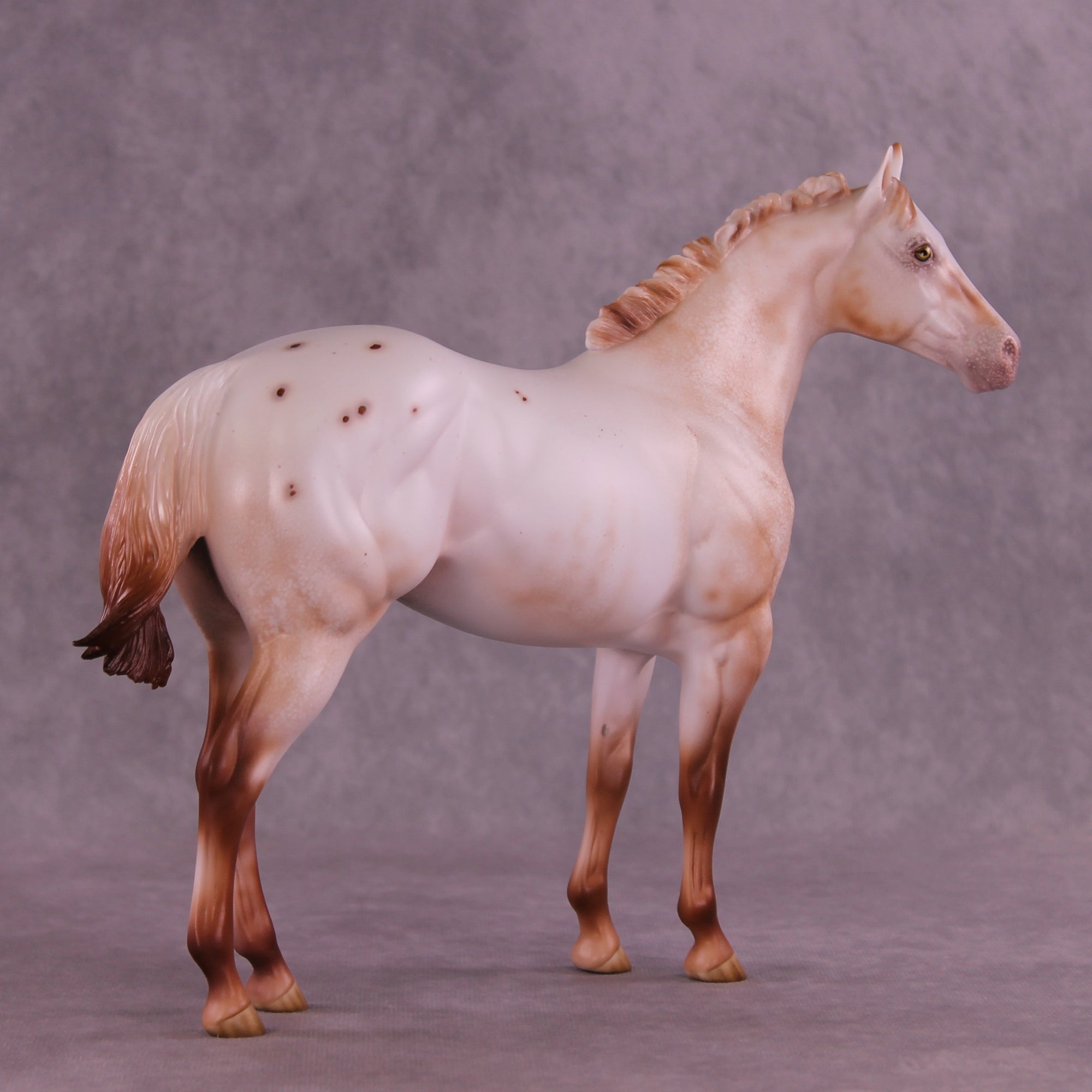 Polixenes LE-15 FCM Ideal Stock Horse by Ellen Robbins CL25