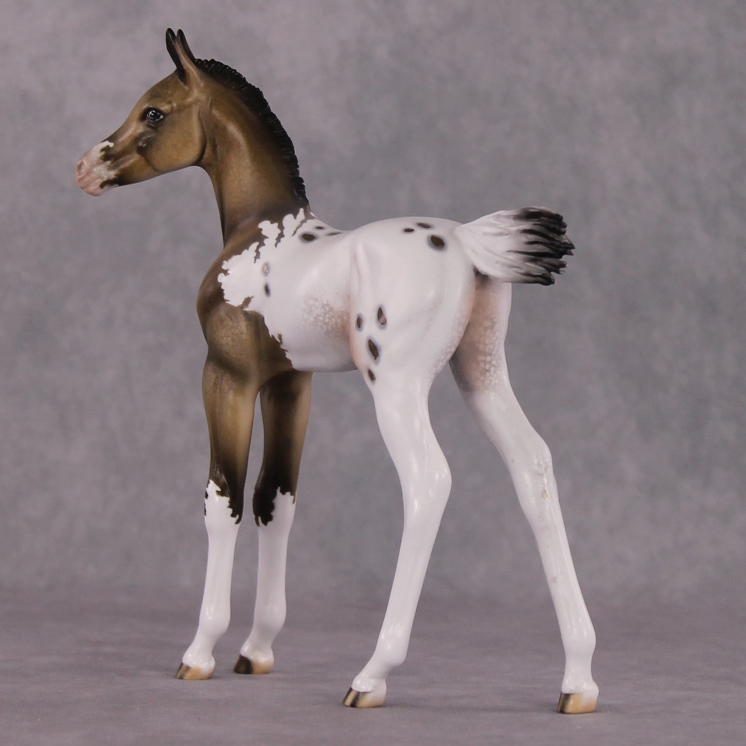 "Achellus" OOAK FCM Arab Foal By Dawn Quick SHCF25