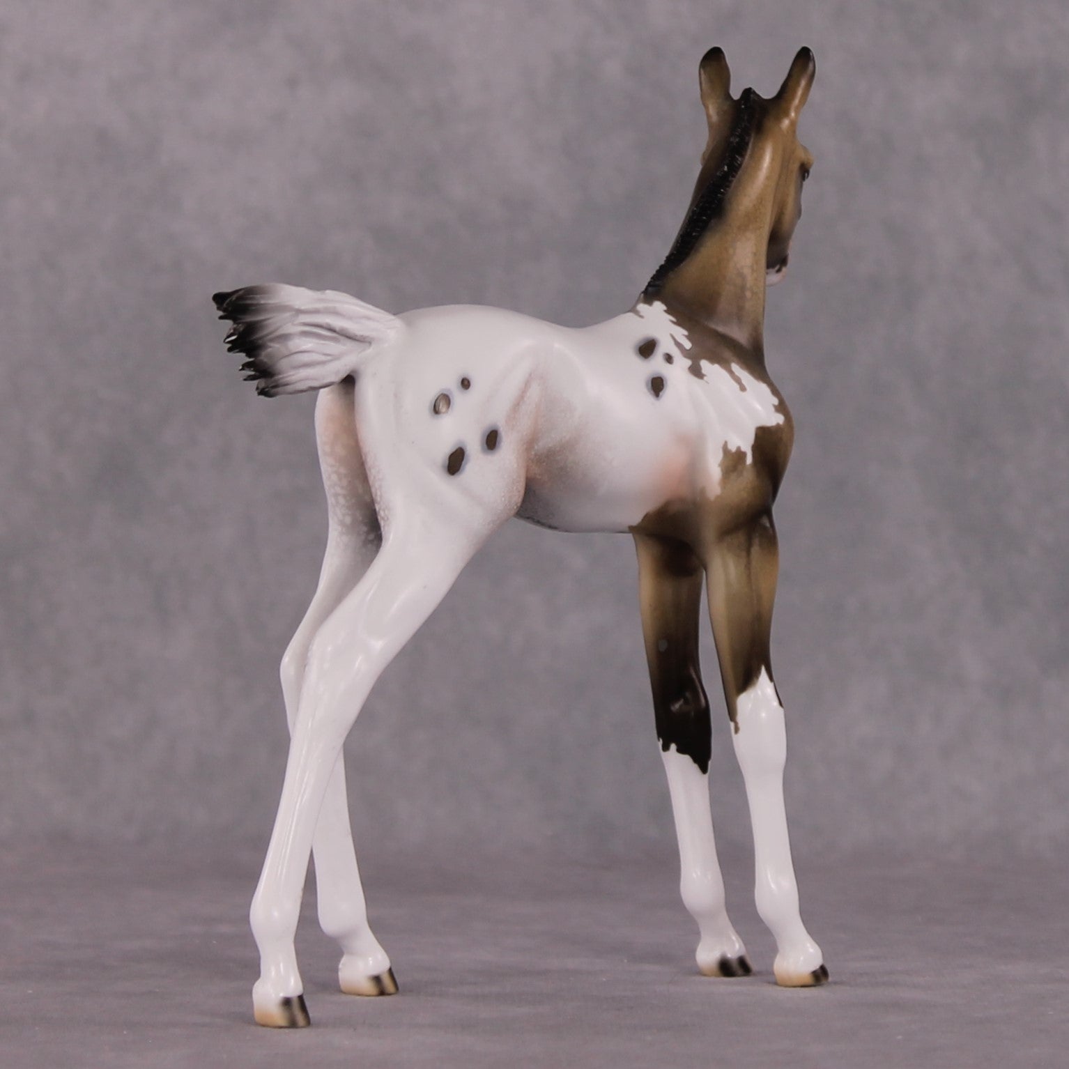 "Achellus" OOAK FCM Arab Foal By Dawn Quick SHCF25