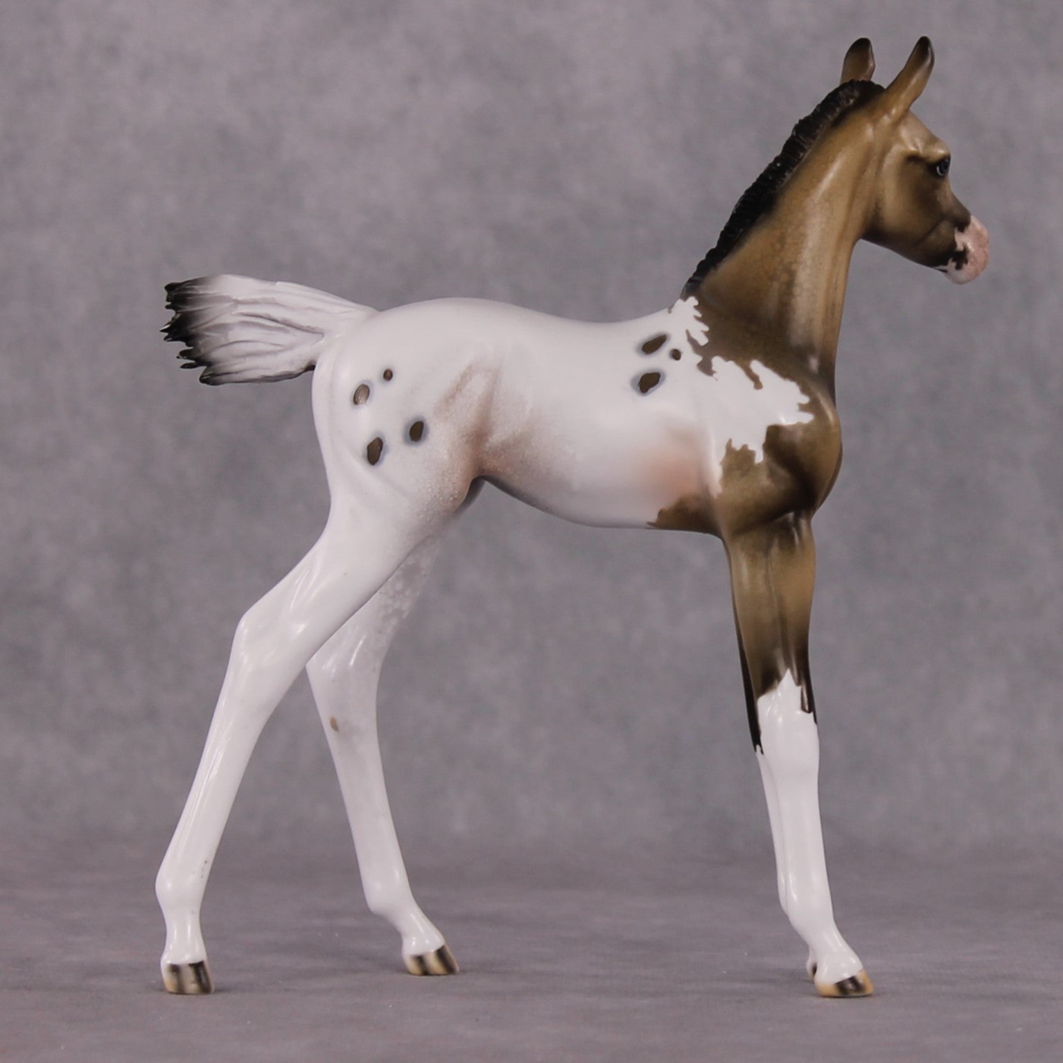"Achellus" OOAK FCM Arab Foal By Dawn Quick SHCF25