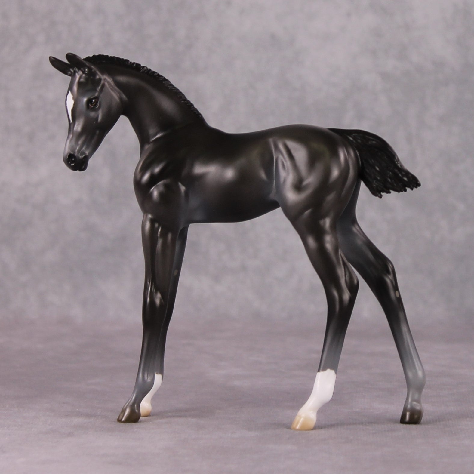 Astoria OOAK Baby Black Etched Star Arab Foal by Ashley Palmer HS24