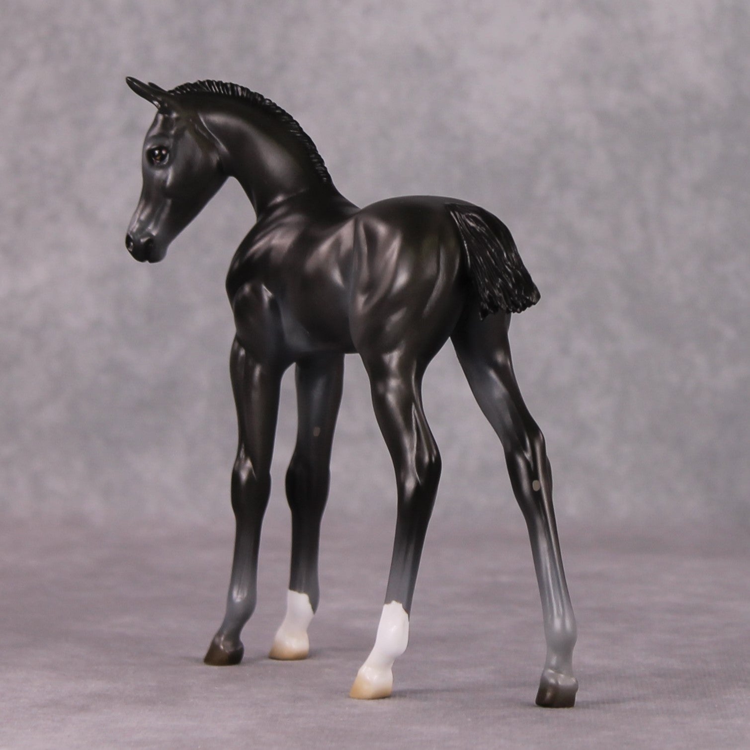 Astoria OOAK Baby Black Etched Star Arab Foal by Ashley Palmer HS24