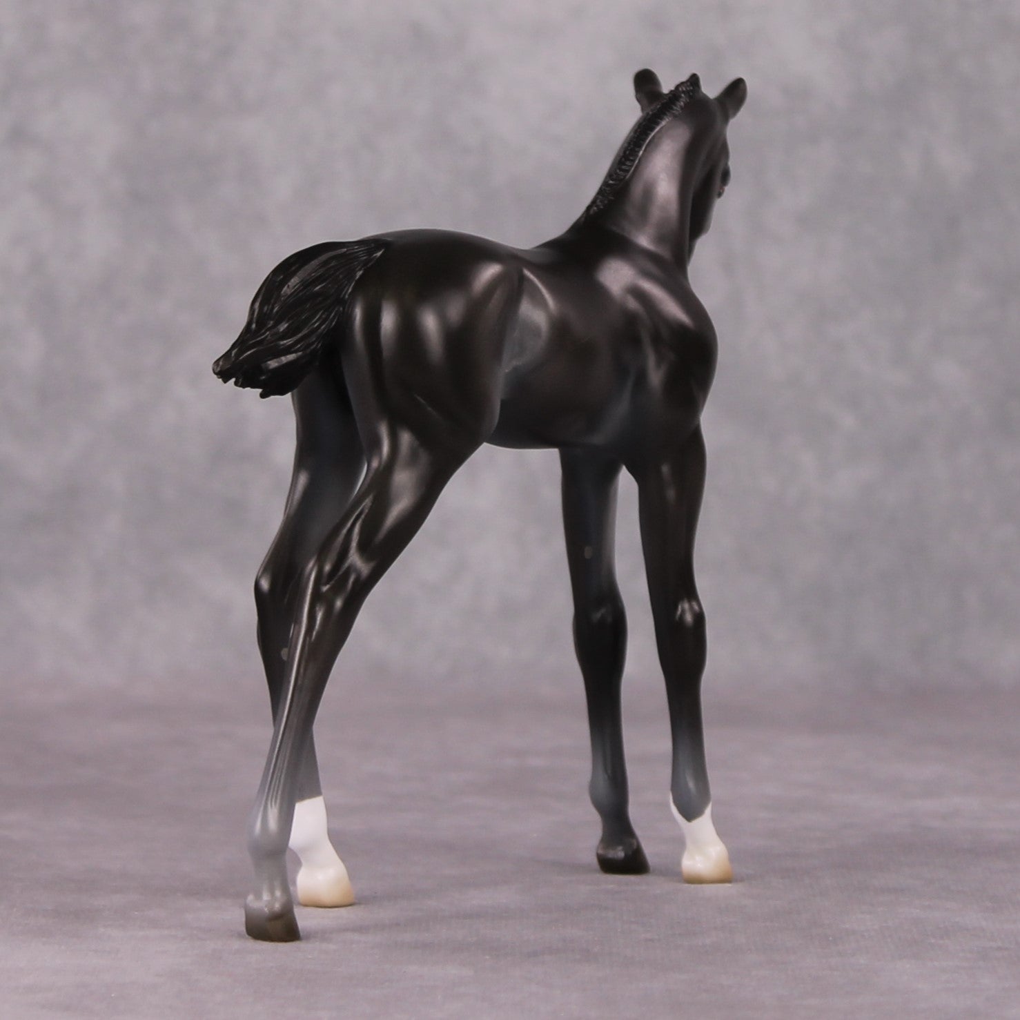 Astoria OOAK Baby Black Etched Star Arab Foal by Ashley Palmer HS24