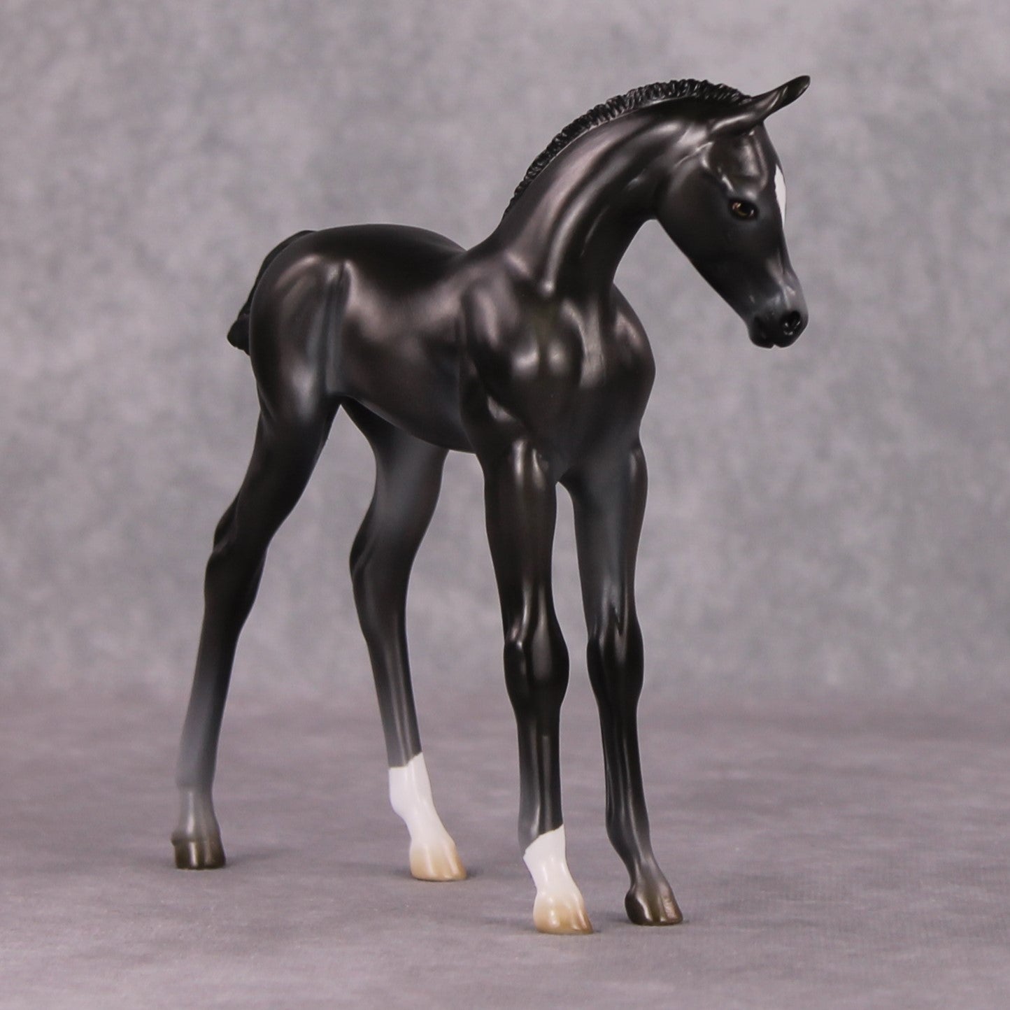 Astoria OOAK Baby Black Etched Star Arab Foal by Ashley Palmer HS24