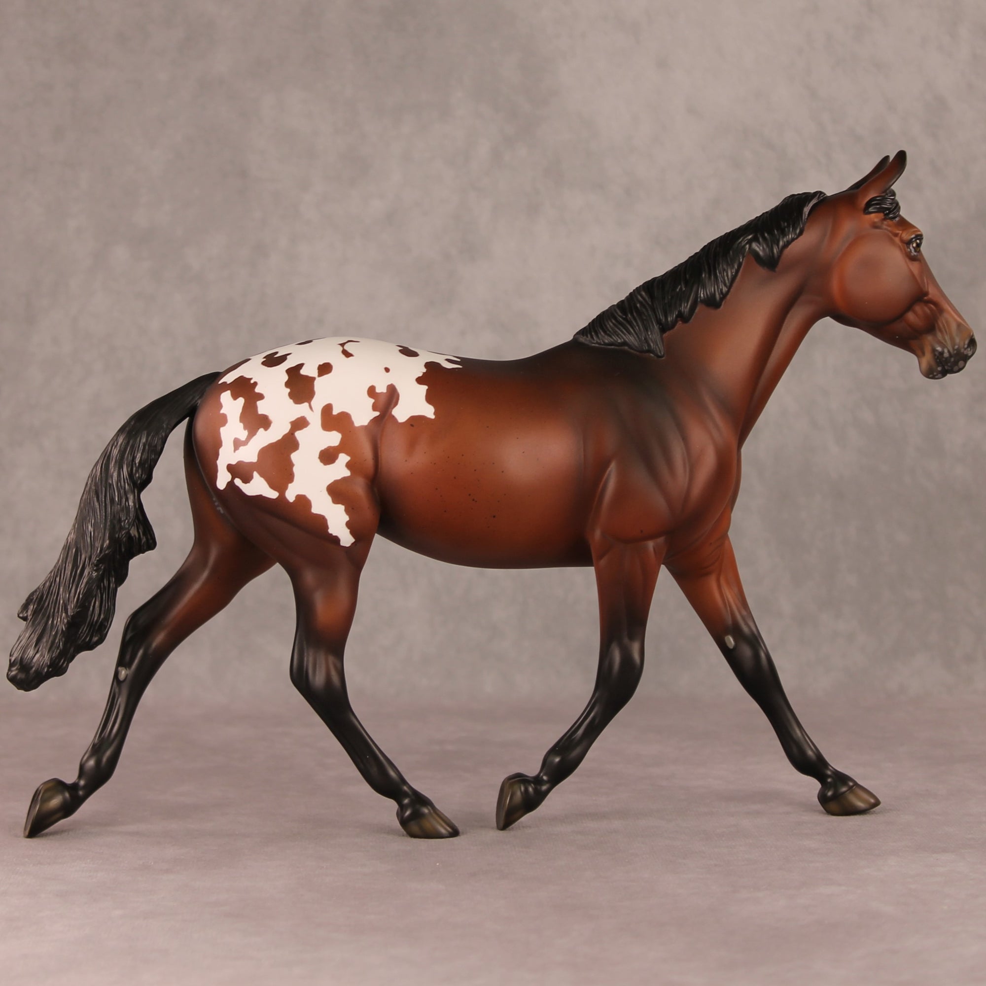 Candle In The Window OOAK Bay Appaloosa Custom Palouse By Ellen Robbins HS24