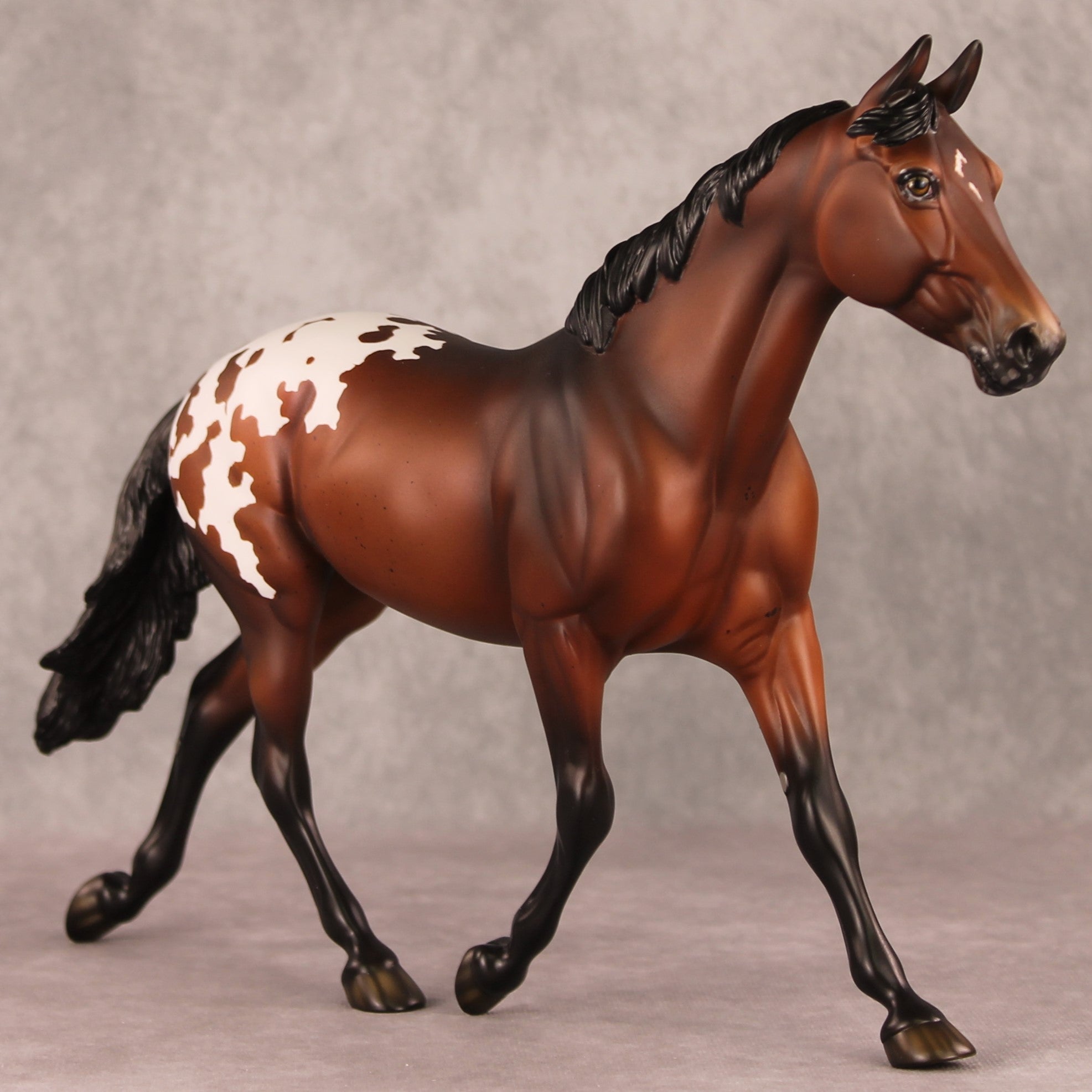 Candle In The Window OOAK Bay Appaloosa Custom Palouse By Ellen Robbins HS24