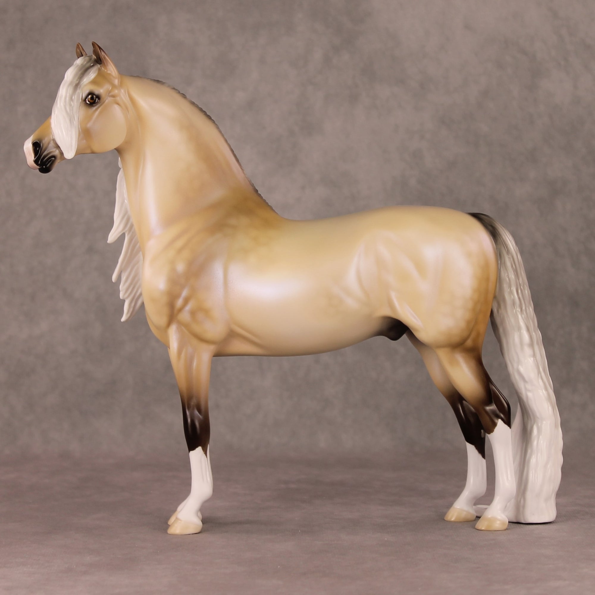 Frost Flower OOAK Dappled Silver Buckskin with Blue Interference Custom Morgan By Ellen Robbins HS24