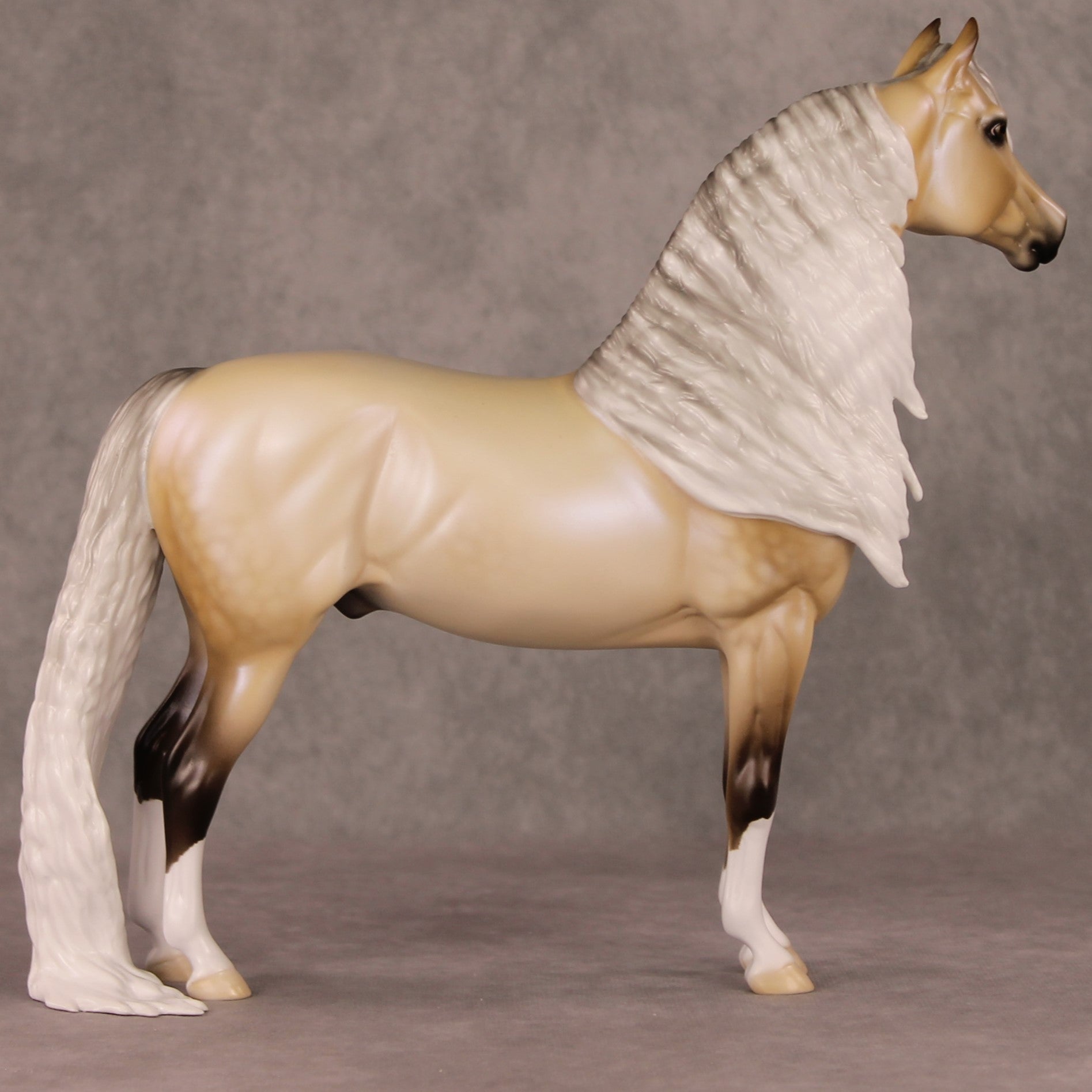 Frost Flower OOAK Dappled Silver Buckskin with Blue Interference Custom Morgan By Ellen Robbins HS24