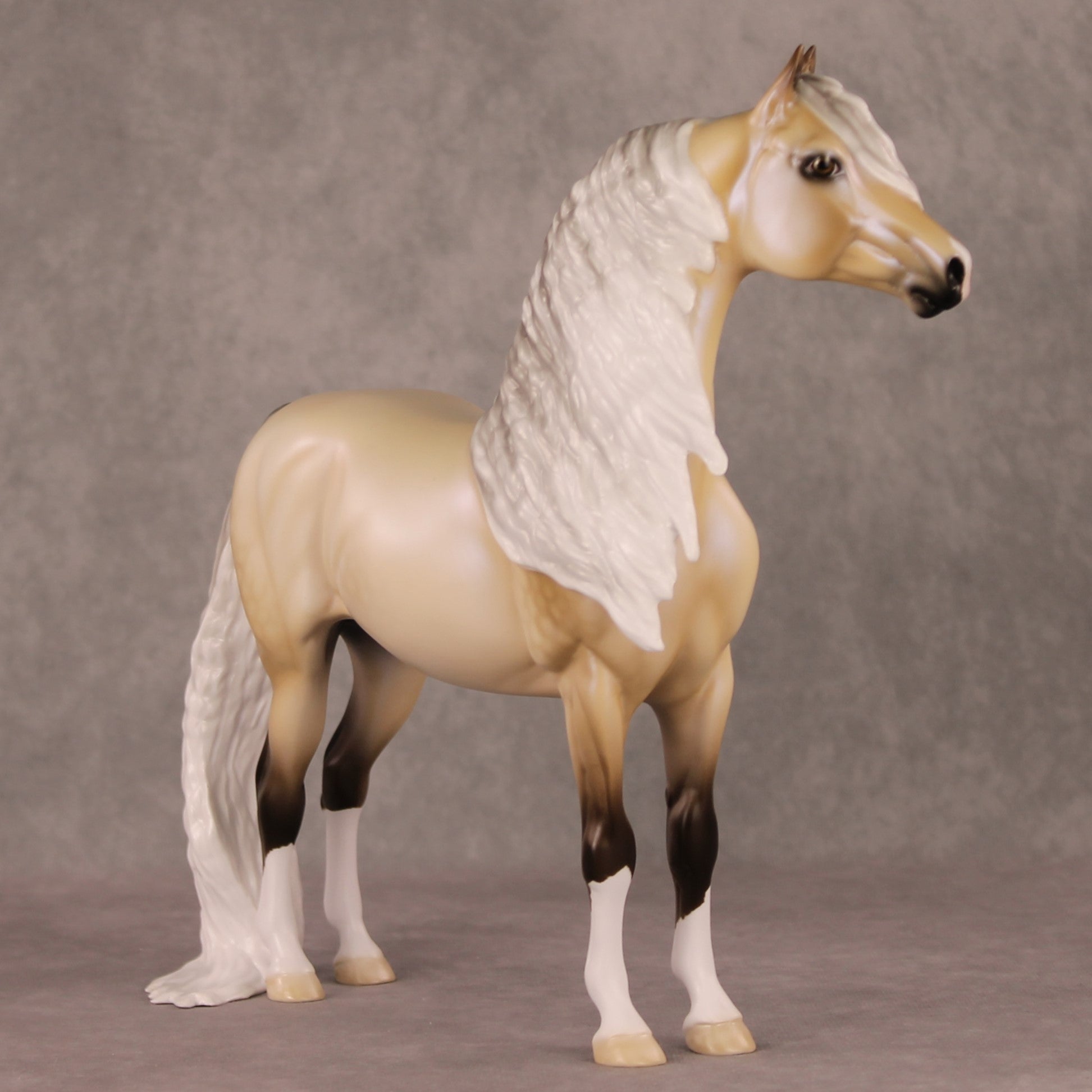 Frost Flower OOAK Dappled Silver Buckskin with Blue Interference Custom Morgan By Ellen Robbins HS24