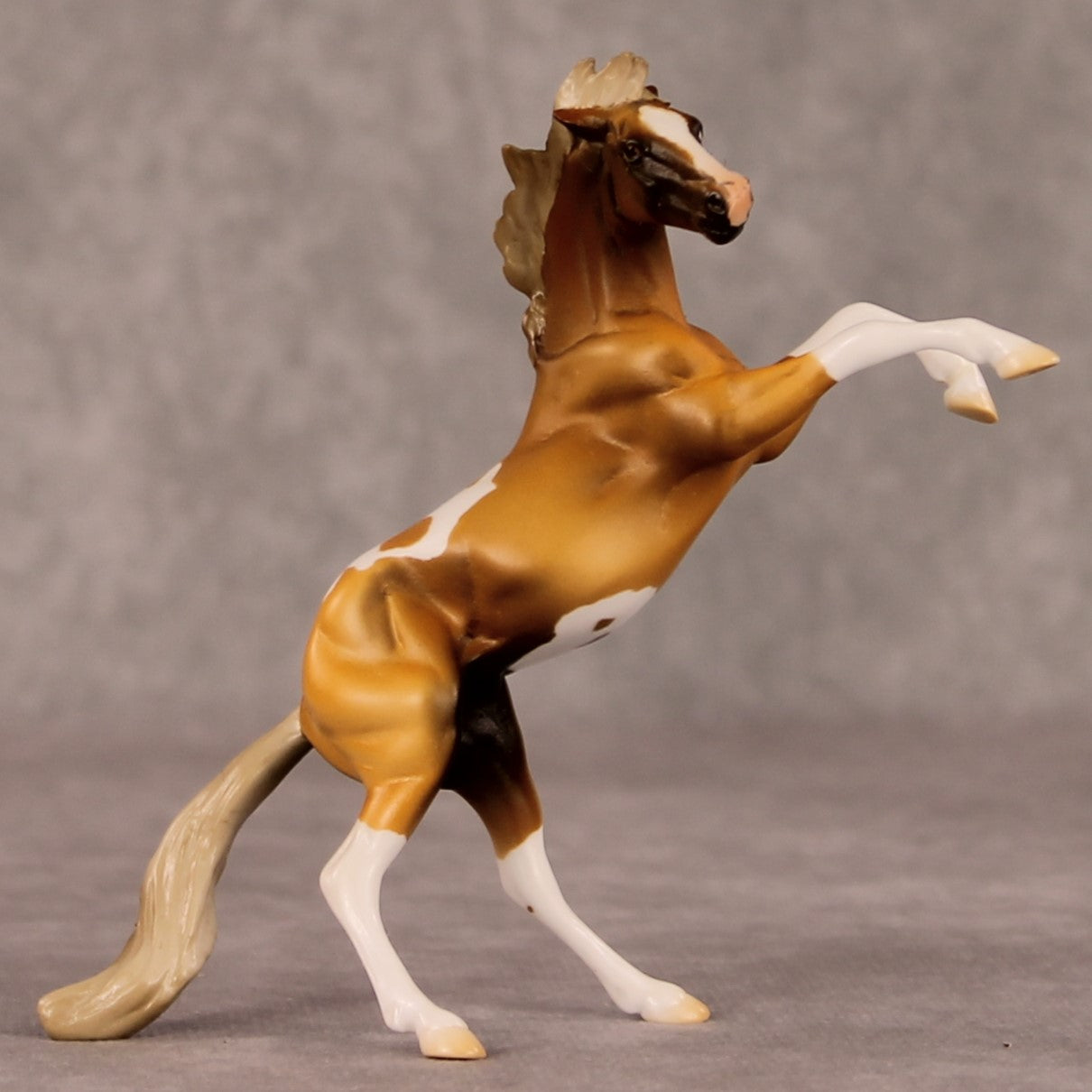 William OOAK Chestnut Pinto Rearing Chip By Jamie Adamson HS24