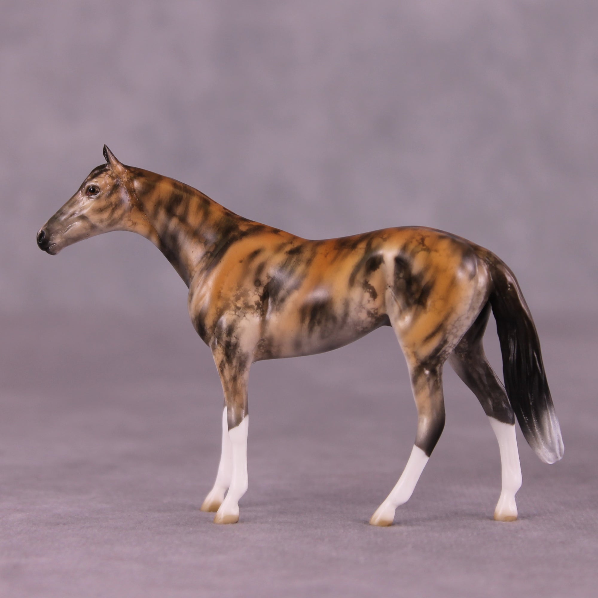 "Akuna" OOAK Thoroughbred Chip by Jess Hamill MS25