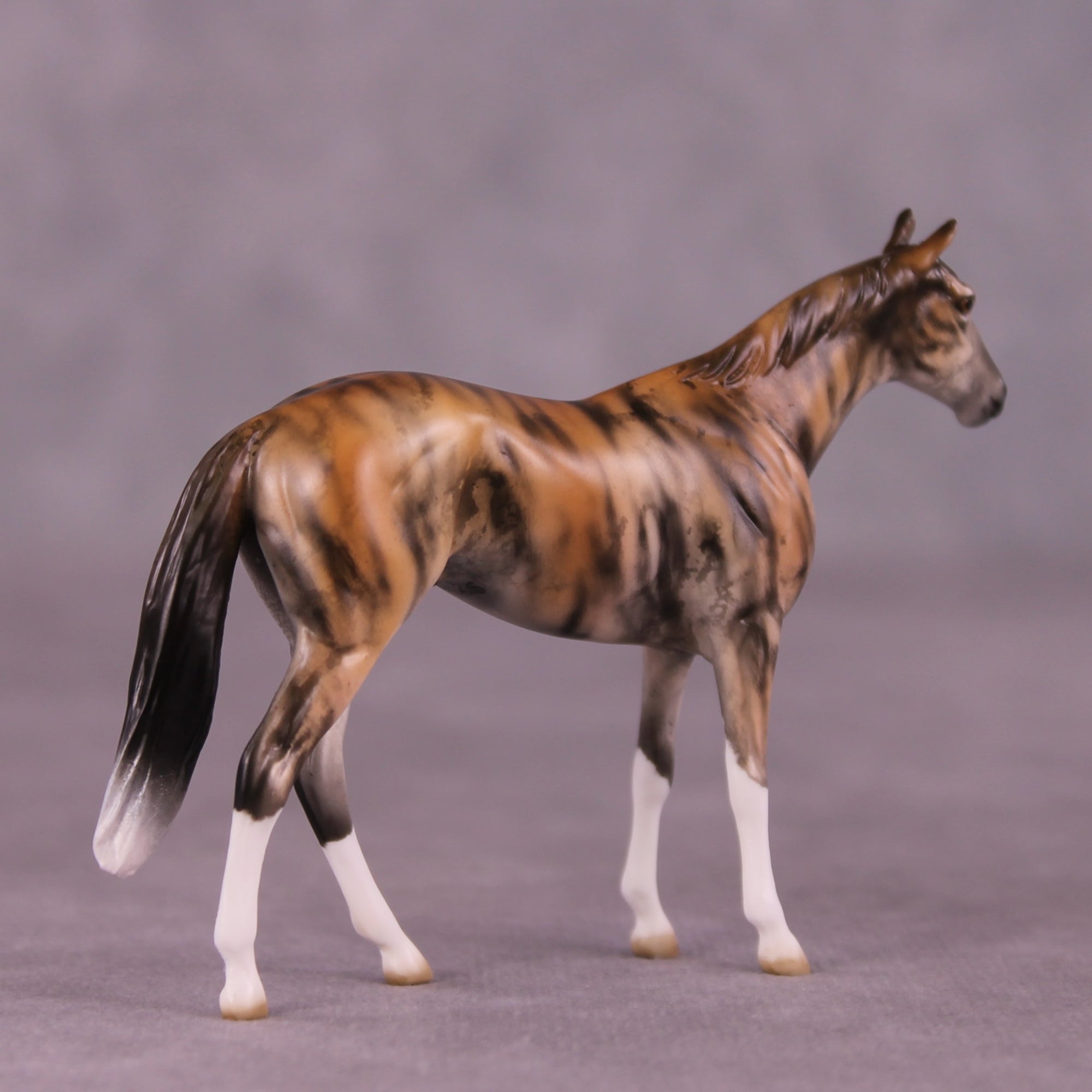 "Akuna" OOAK Thoroughbred Chip by Jess Hamill MS25