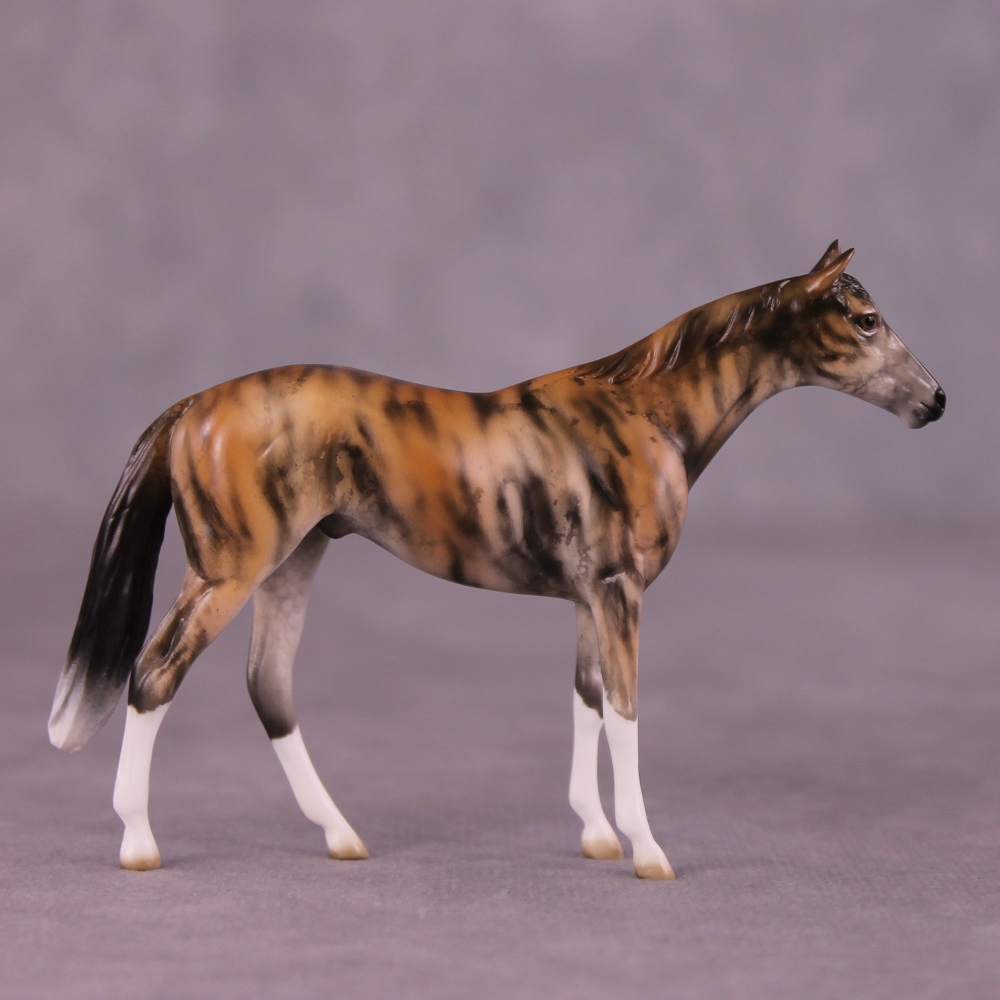 "Akuna" OOAK Thoroughbred Chip by Jess Hamill MS25