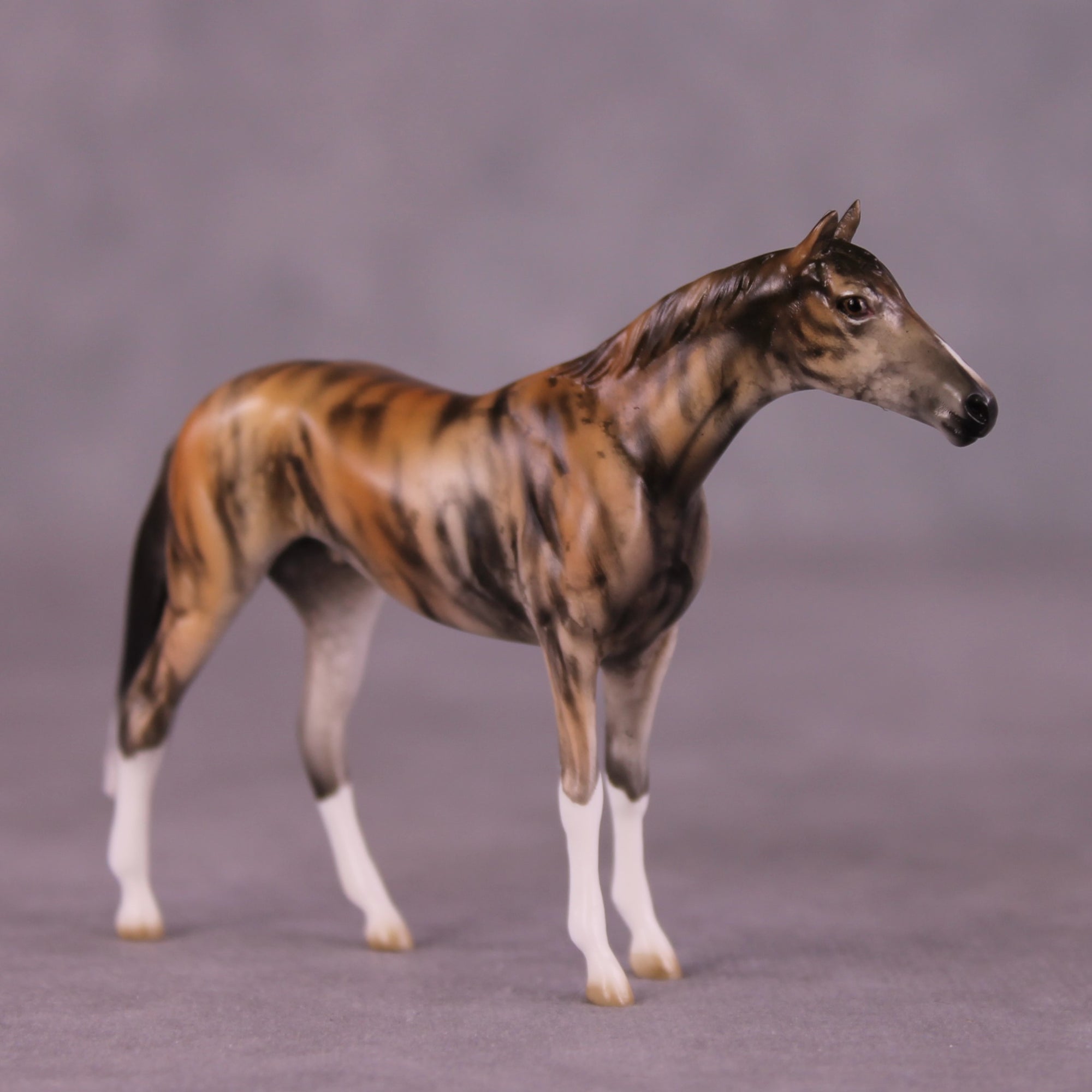 "Akuna" OOAK Thoroughbred Chip by Jess Hamill MS25