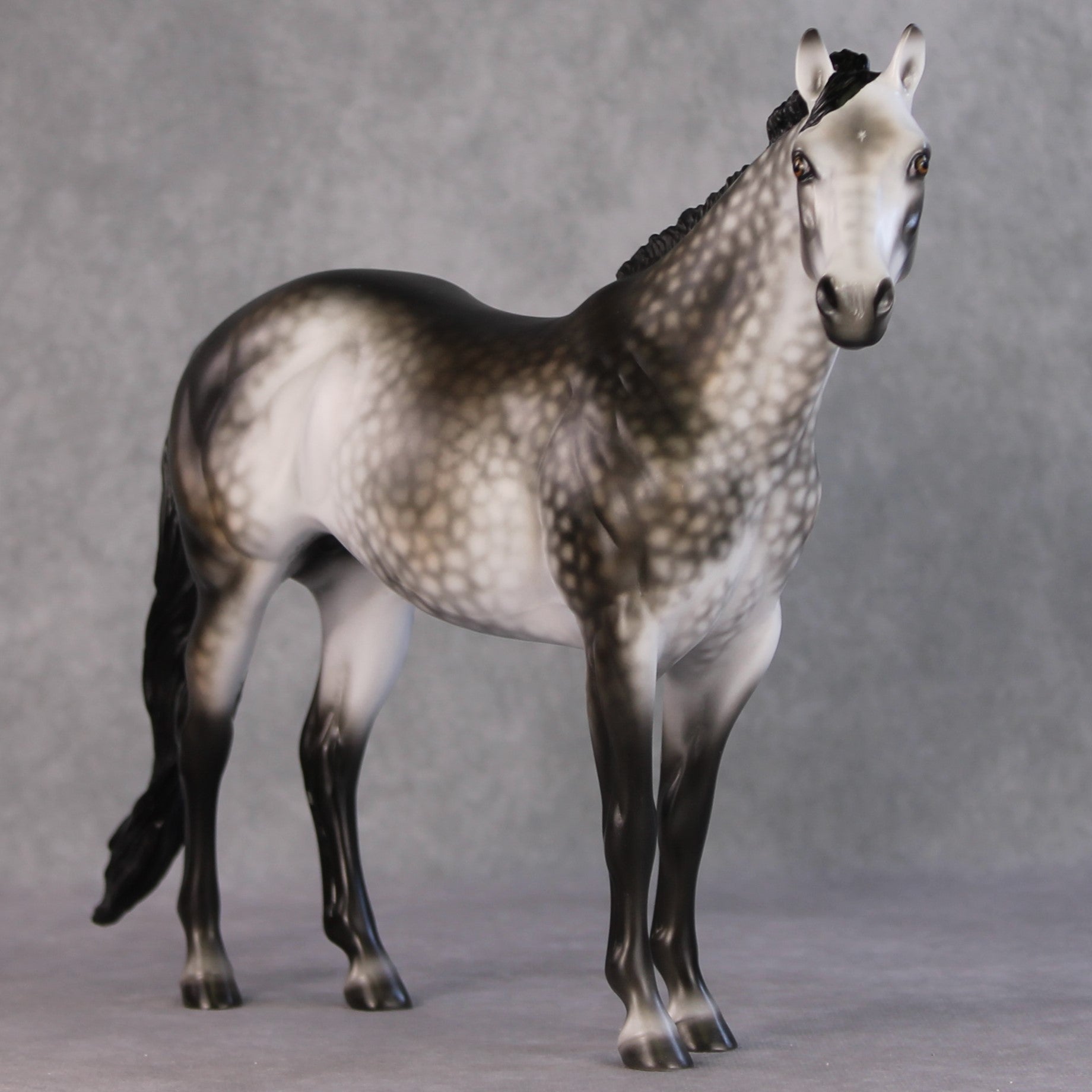 Winter Storm OOAK Dapple Rose Grey ISH By Ashley Palmer HS24