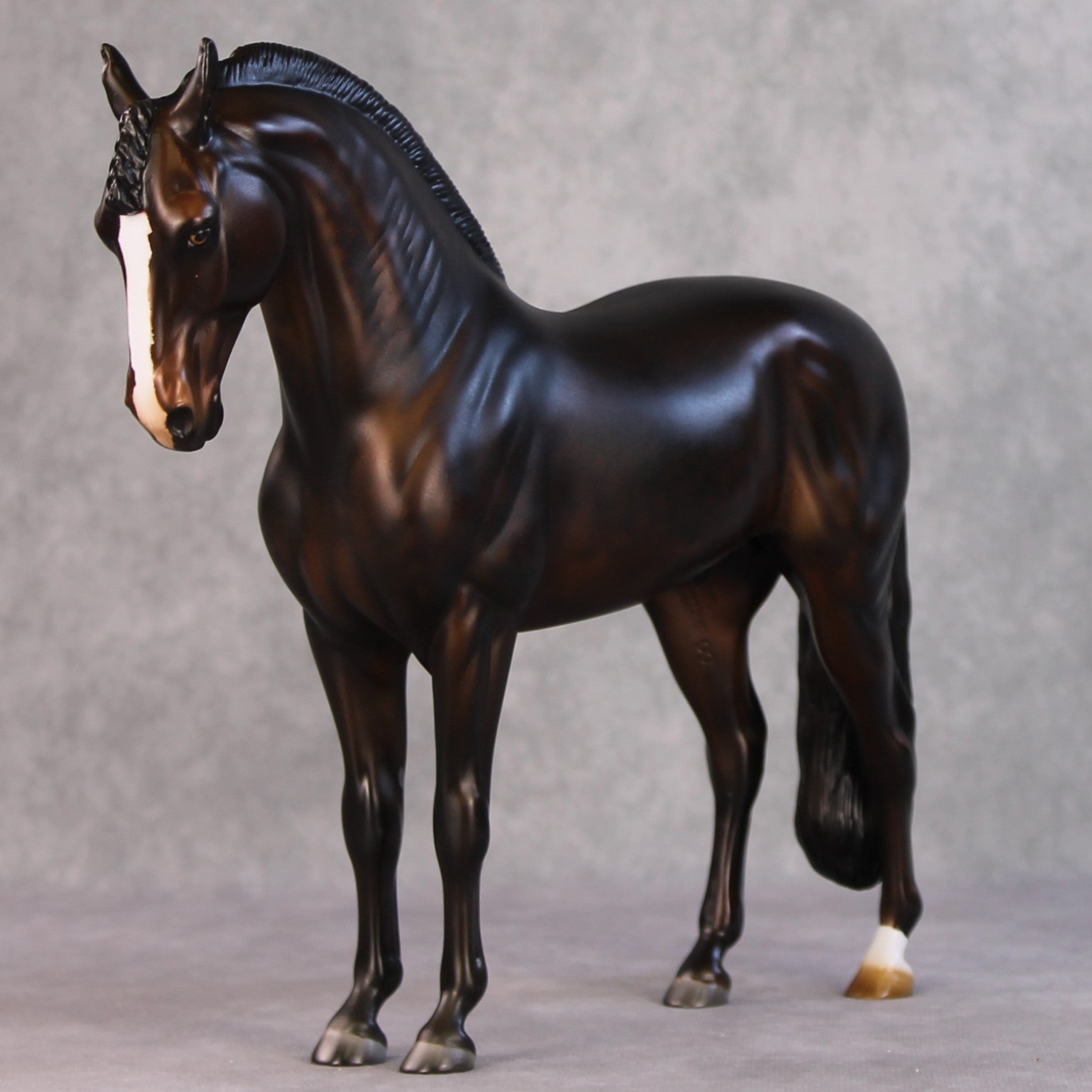 Jack OOAK Dark Bay Andalusian By Julie Keim HS24