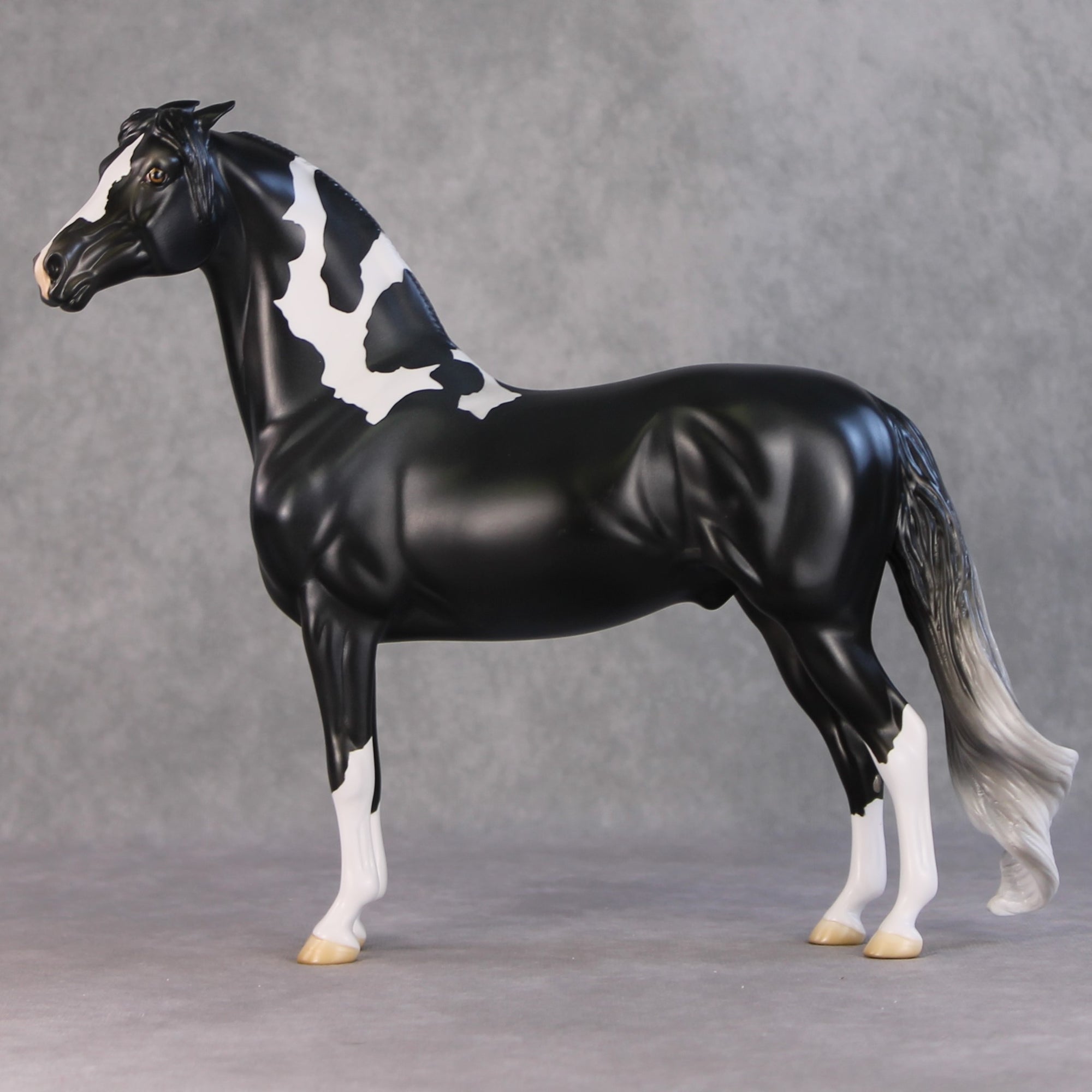 Amundsen OOAK Black Tobiano Custom Pinned Eared Morgan By Jess Hamill HS24