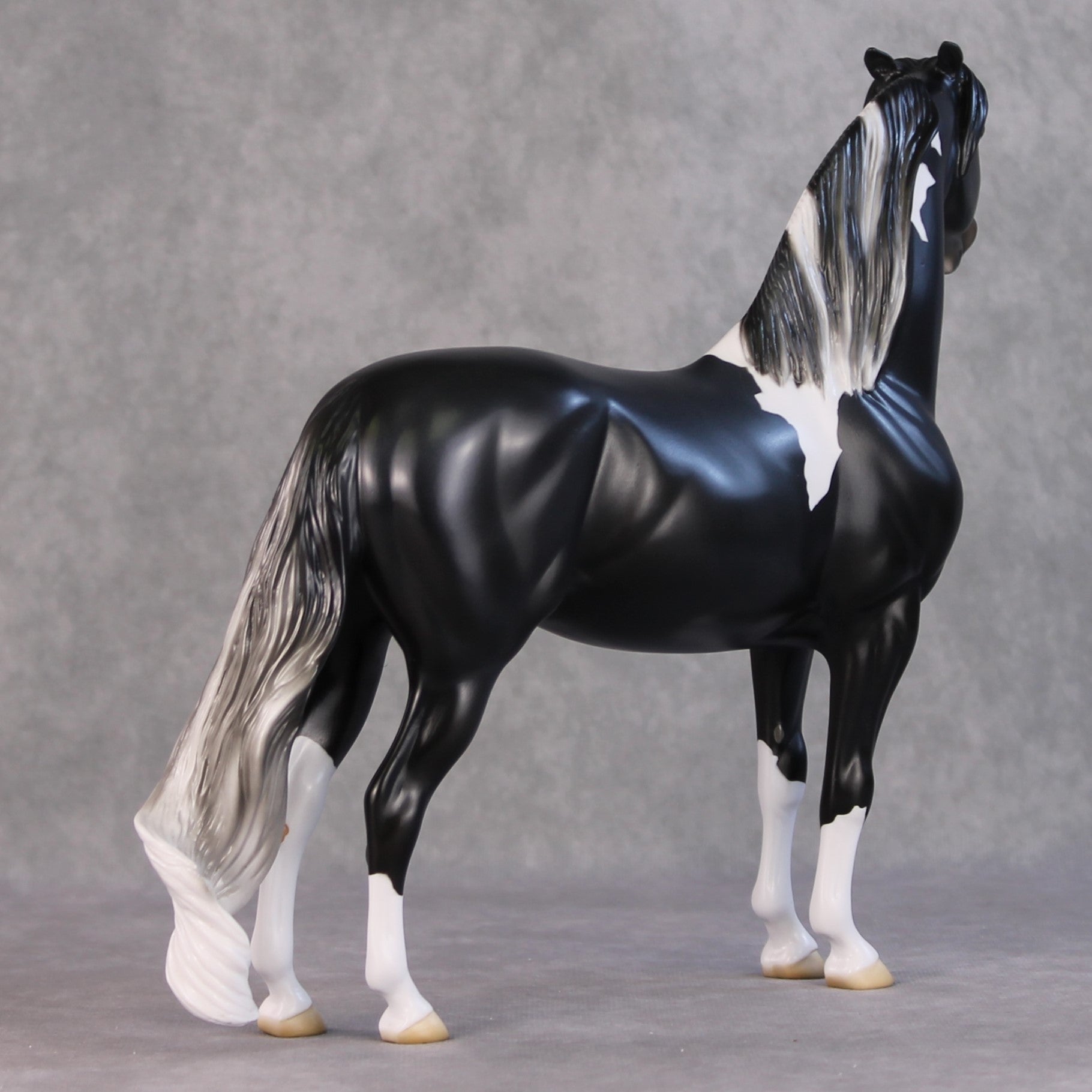 Amundsen OOAK Black Tobiano Custom Pinned Eared Morgan By Jess Hamill HS24