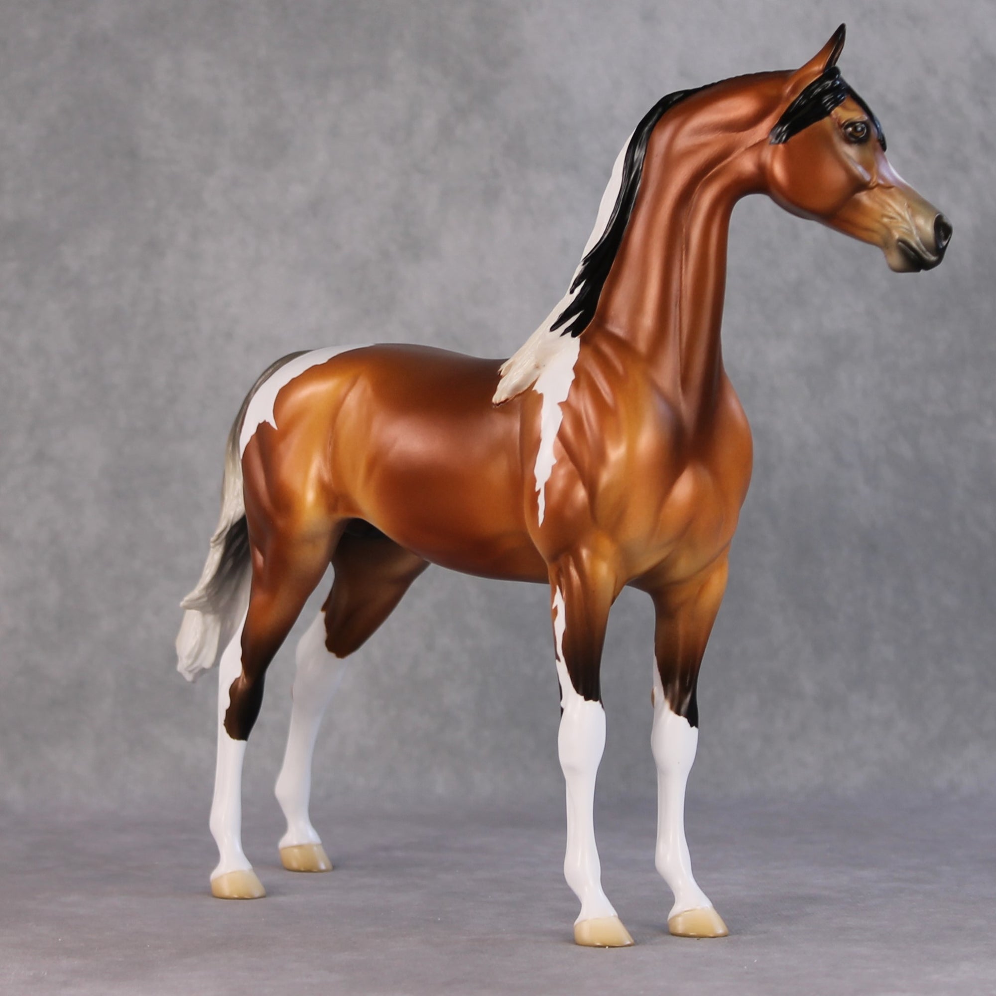 Ulaanbaatar OOAK Bay Tobiano With Gulastra Plume Arabian By Jess Hamill HS24