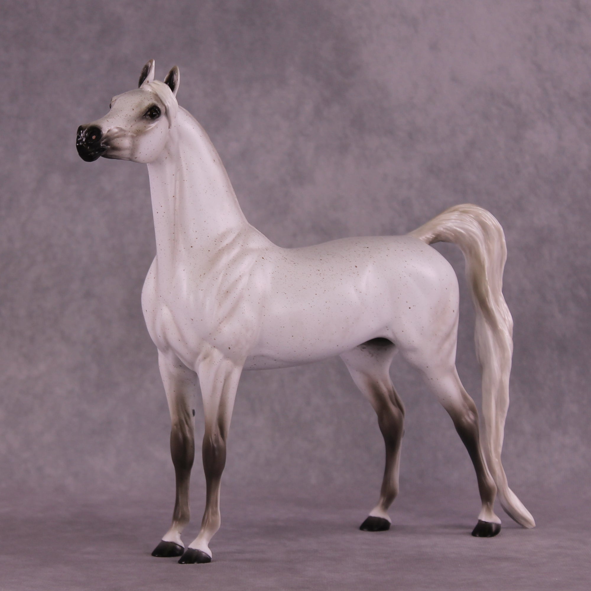 Bint Morafina OOAK EFCM Arabian by Tiffany Purdy GS925