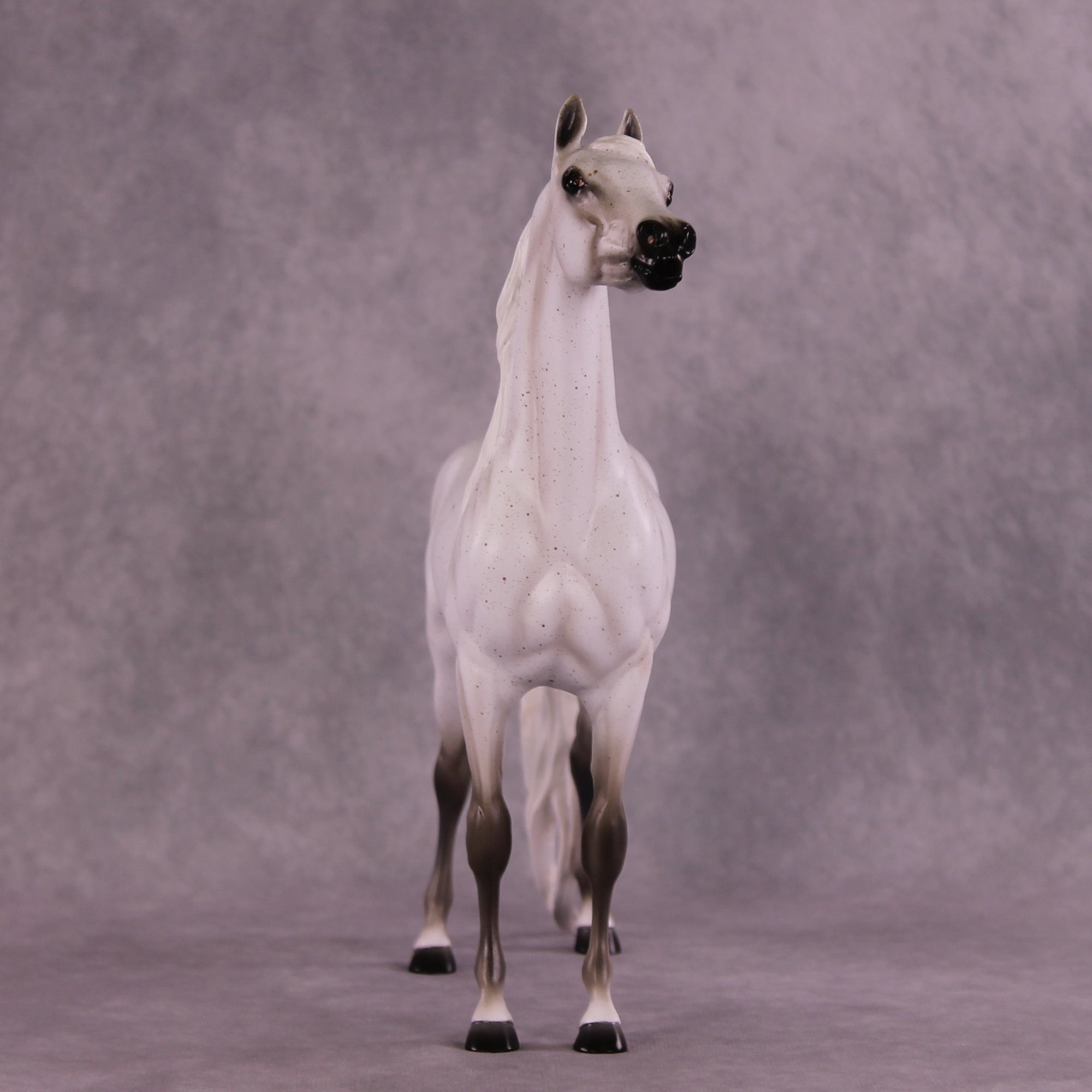 Bint Morafina OOAK EFCM Arabian by Tiffany Purdy GS925