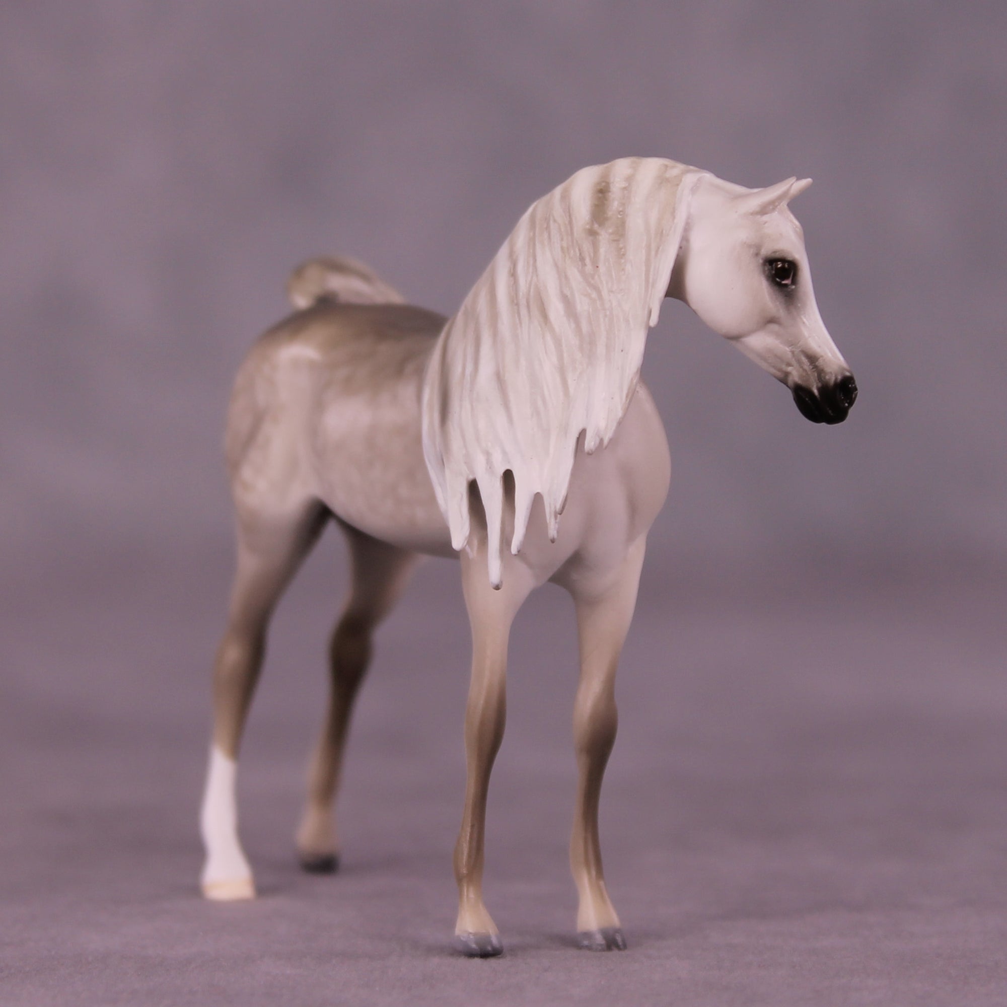Bin Al Purdy OOAK EFCM Chip Arabian by Tiffany Purdy GS925