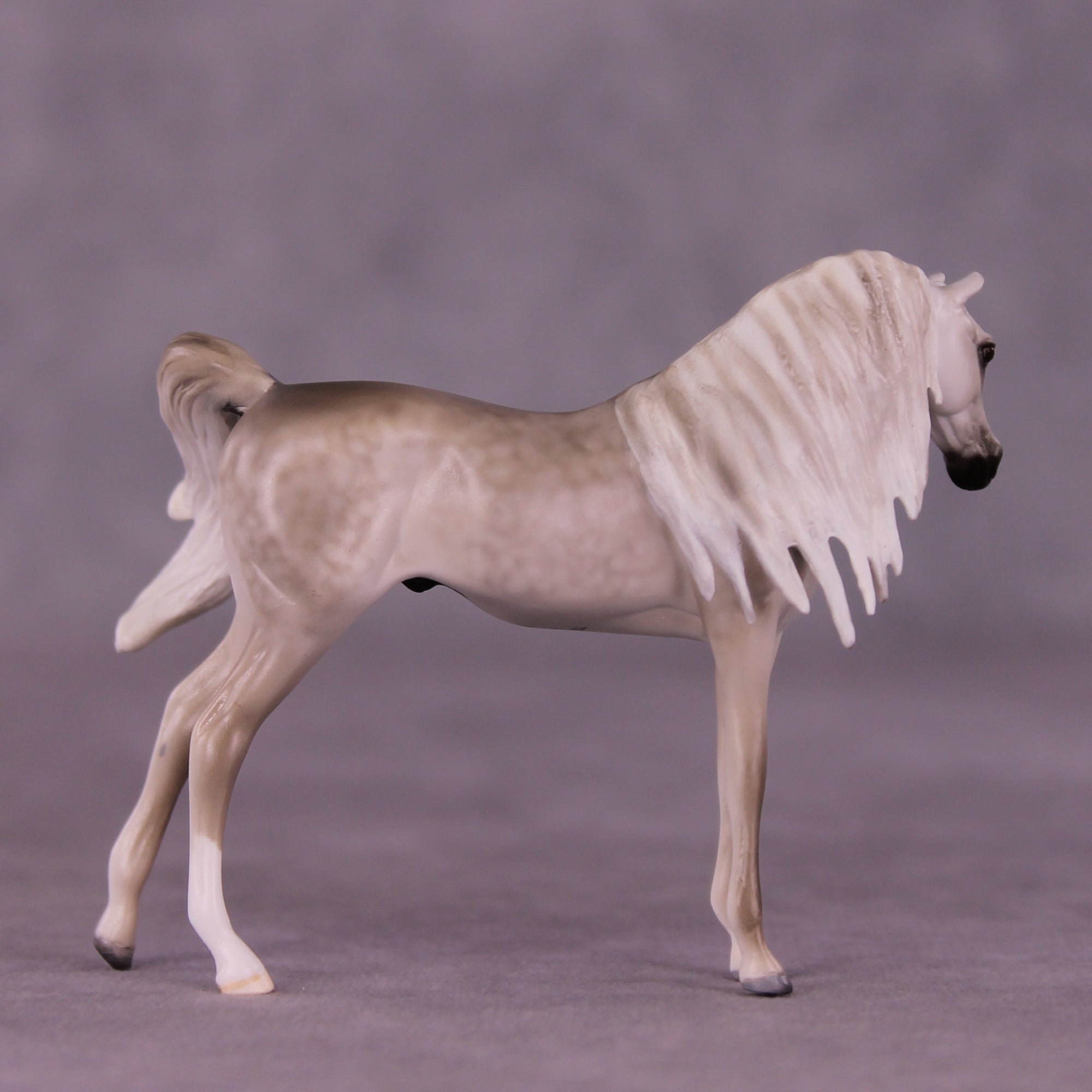 Bin Al Purdy OOAK EFCM Chip Arabian by Tiffany Purdy GS925
