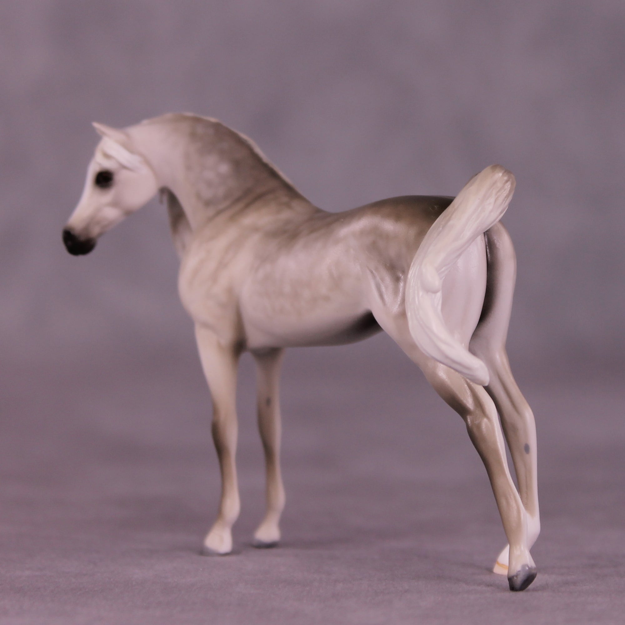 Bin Al Purdy OOAK EFCM Chip Arabian by Tiffany Purdy GS925