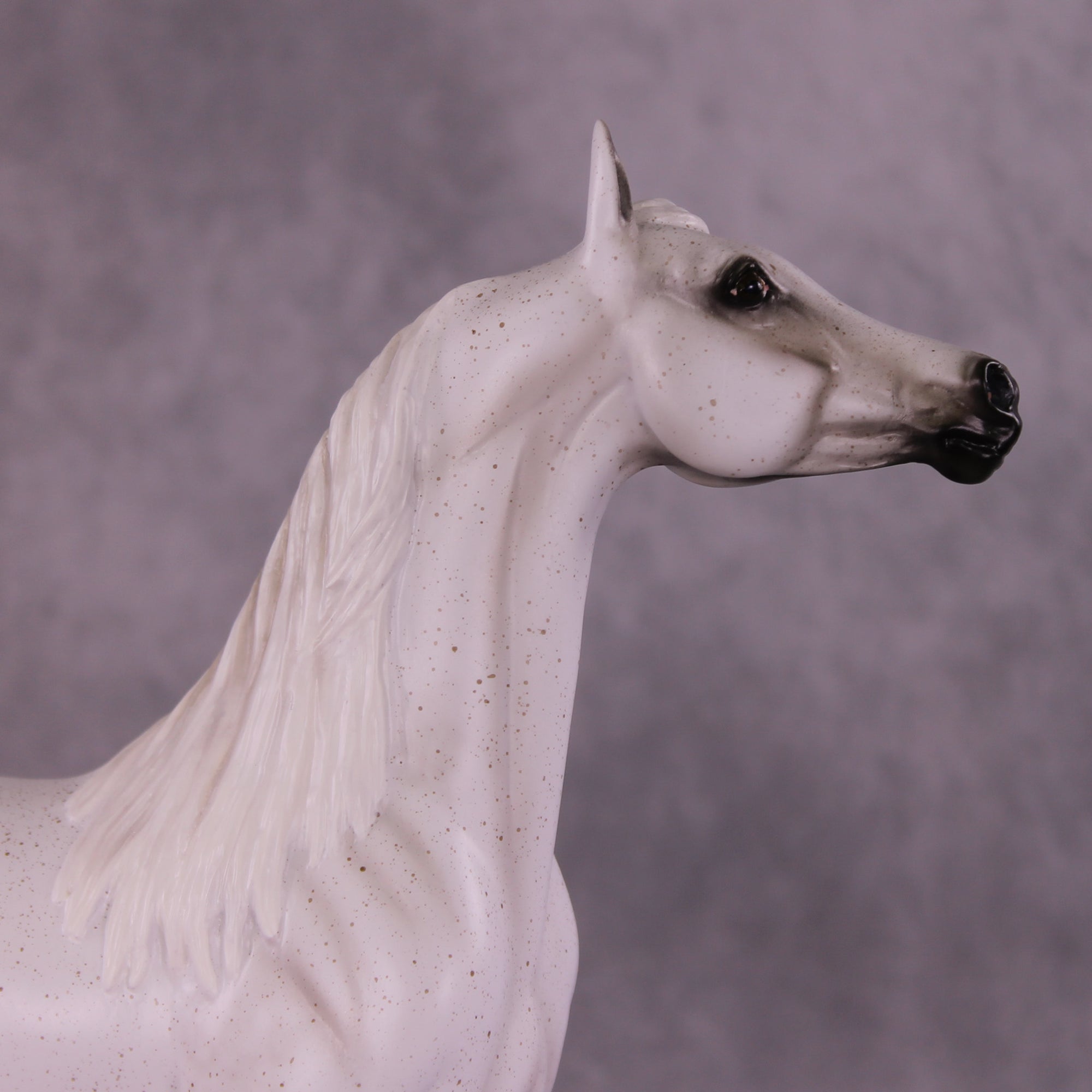 Bint Morafina OOAK EFCM Arabian by Tiffany Purdy GS925