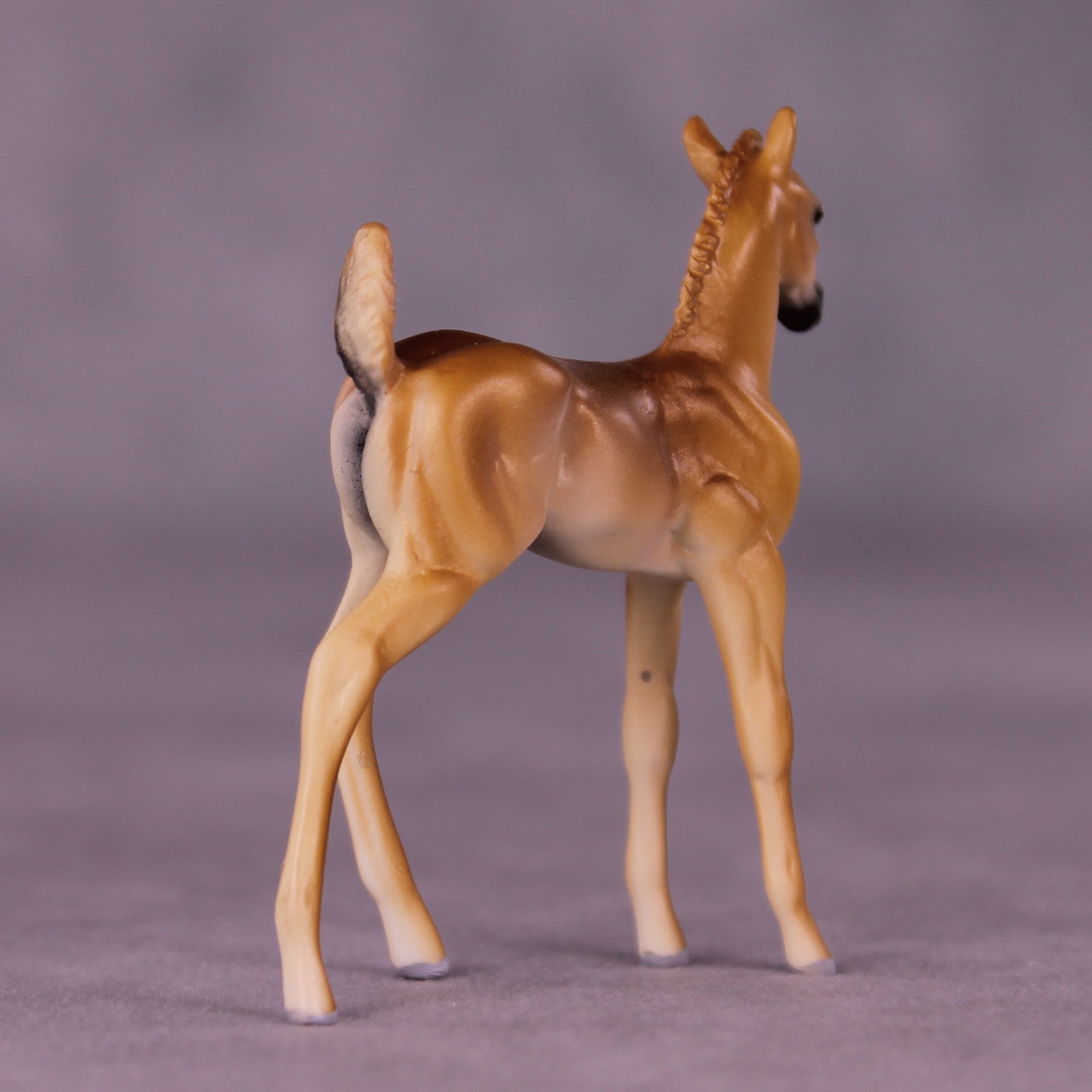 Bint Marie OOAK FCM Chip Foal by Tiffany Purdy GS925