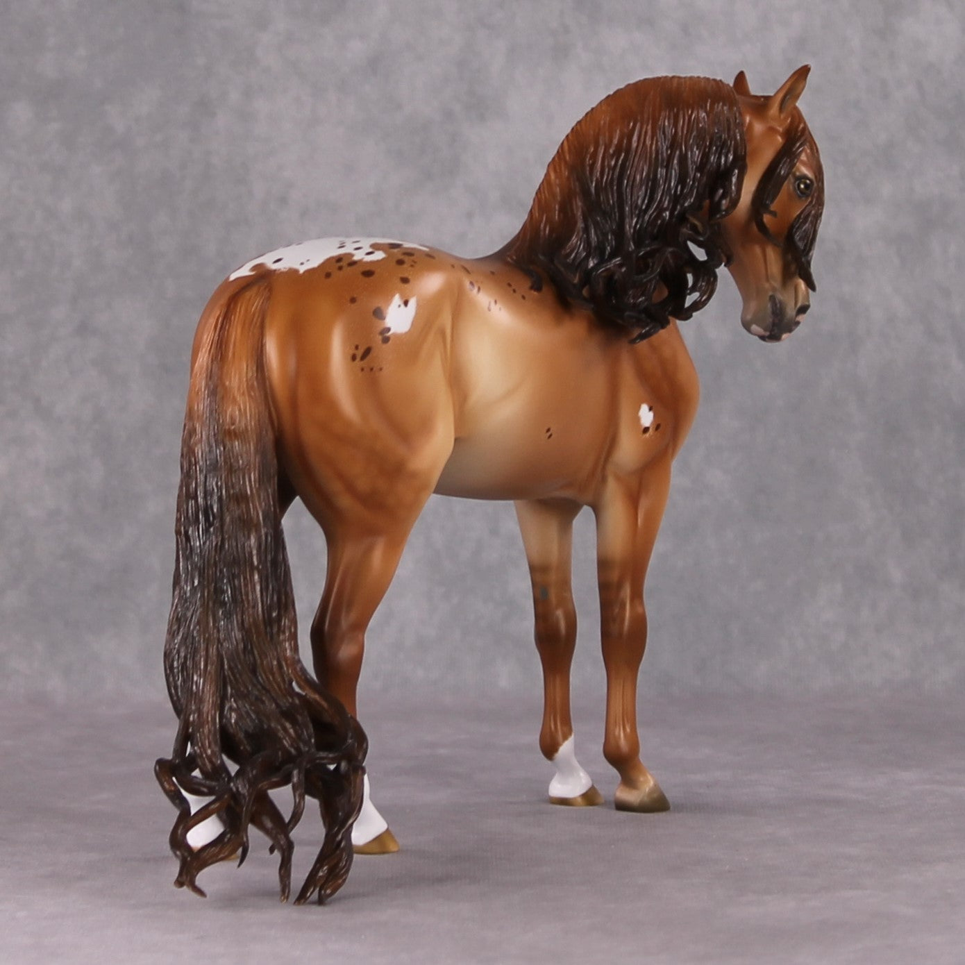 Cinnamon Latte OOAK Red Dun Custom Andalusian By Ashley Palmer HS24 Best Offer